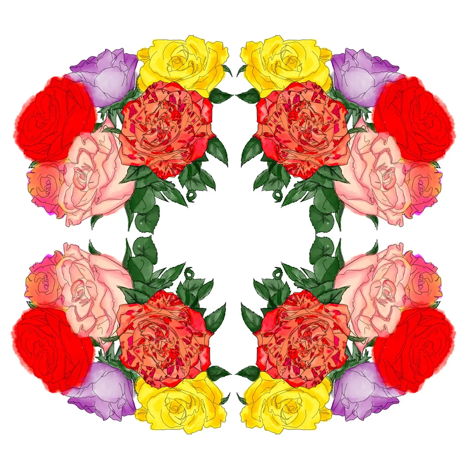 kalei rose3 marirosa.webp