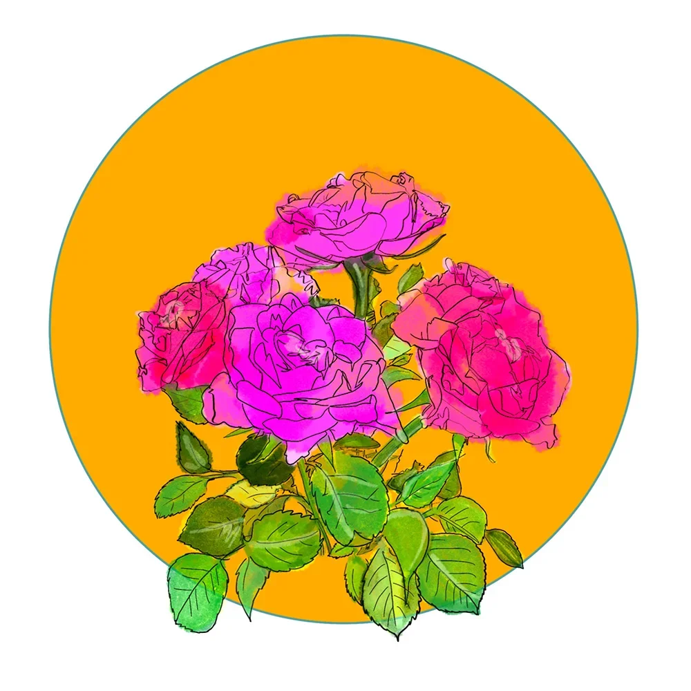 Genesis Rose — vibrant pink rose bouquet with green leaves inside a golden circle, by Mari Rosa