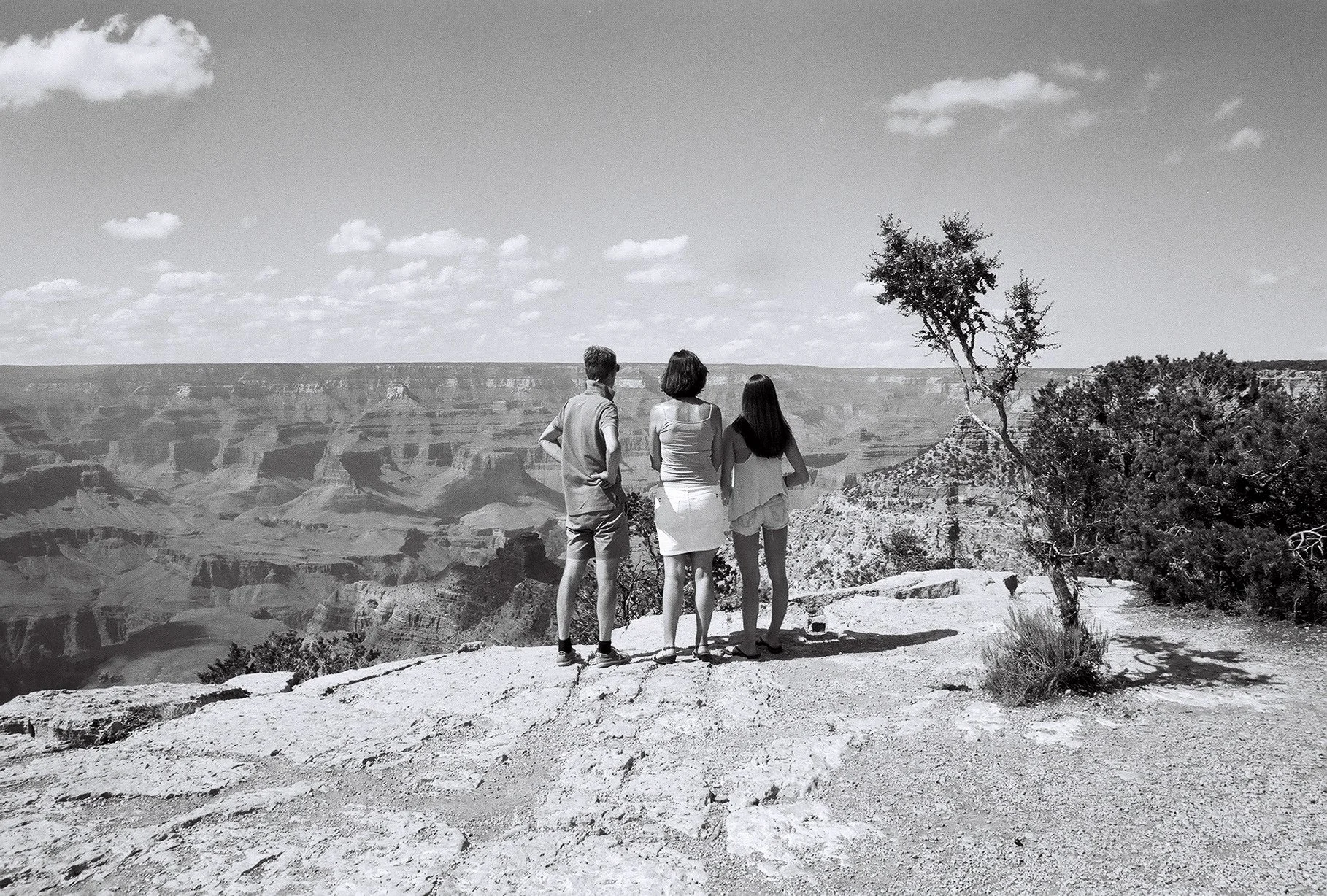 Three people standing on a cliff overlooking the Grand Canyon, with two women and one man, two facing away and one facing sideways, near a small tree, in a black and white photo.