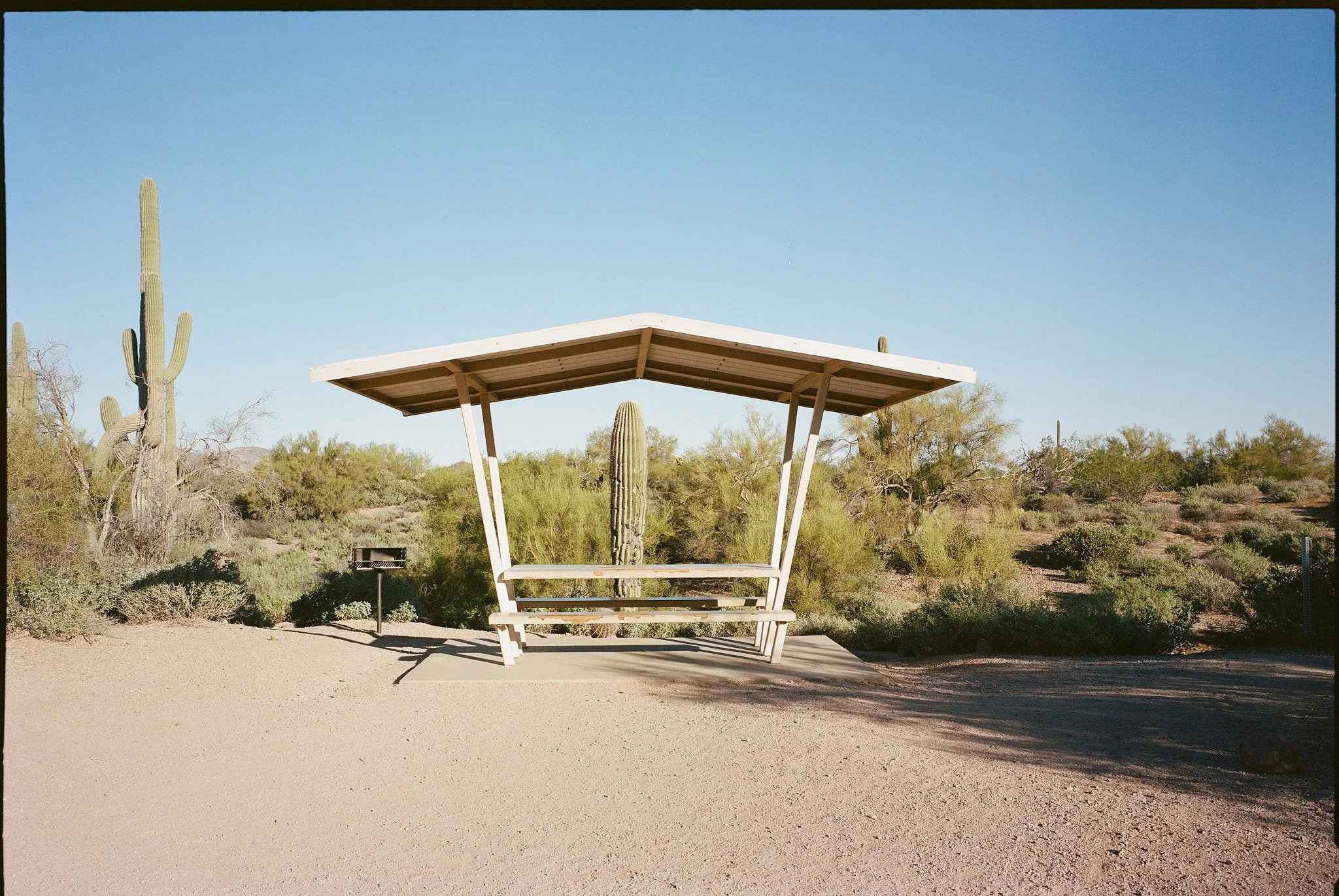 A white desert bench with a roof, situated in a sandy area with desert plants and cacti, under a clear blue sky.