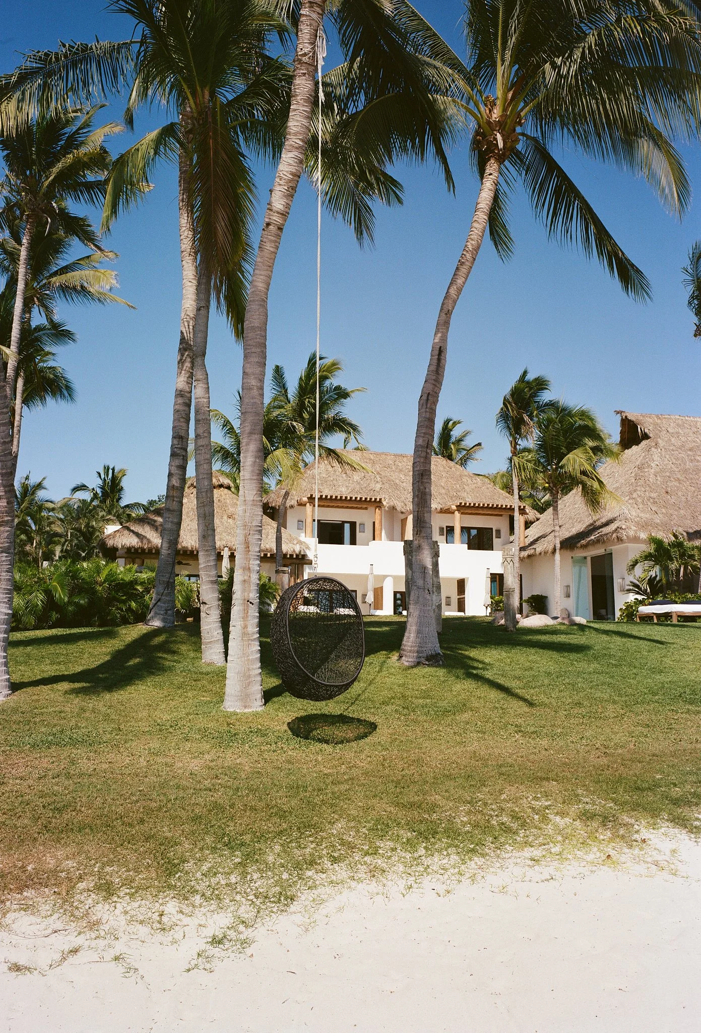 A tropical beachside scene with tall palm trees, a thatched-roof building, and a black hanging chair casting a shadow on the grass. White sandy beach in the foreground and clear blue sky.