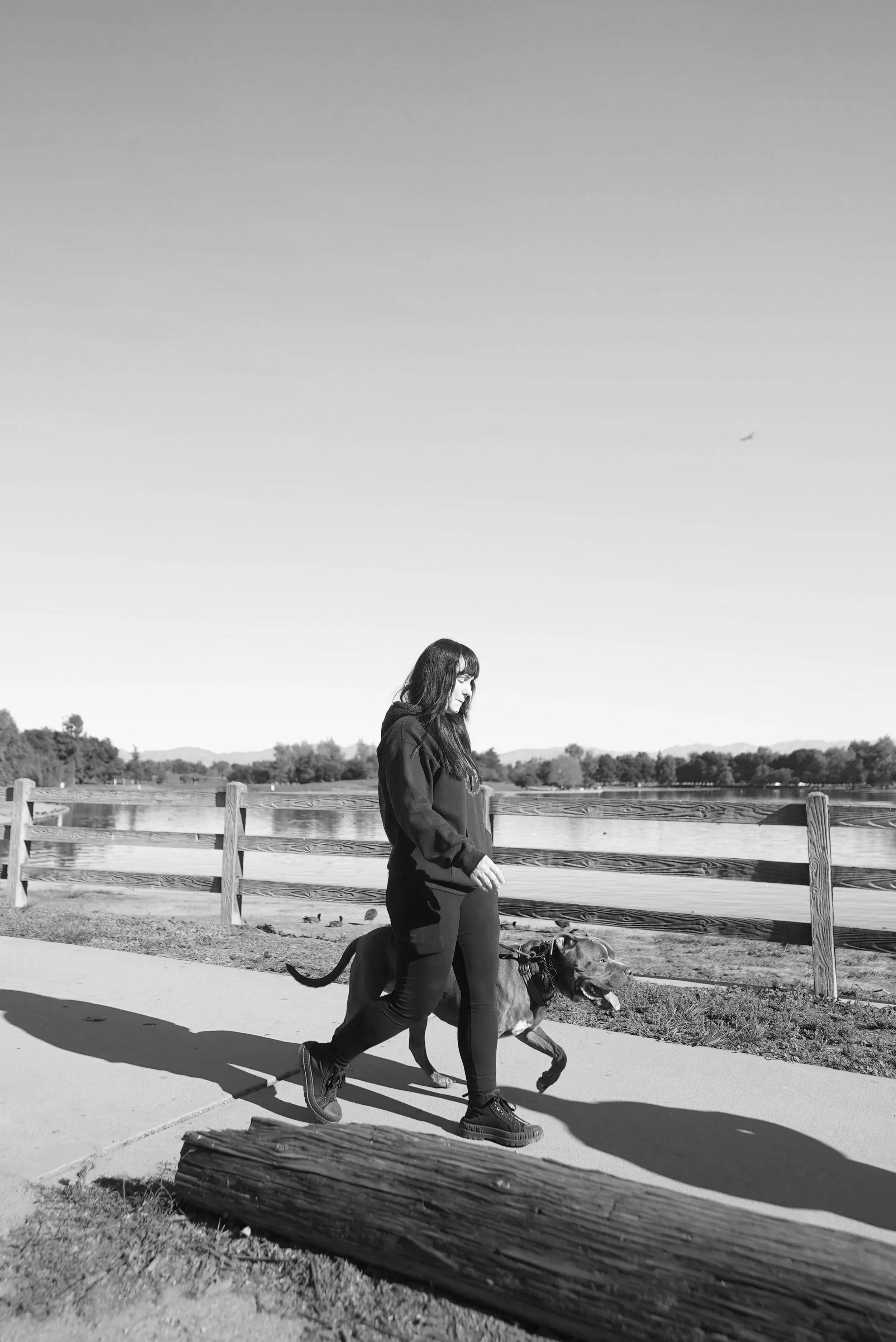 A woman walking her dog along a lakesidePath with a wooden fence, trees, and a clear sky in the background.