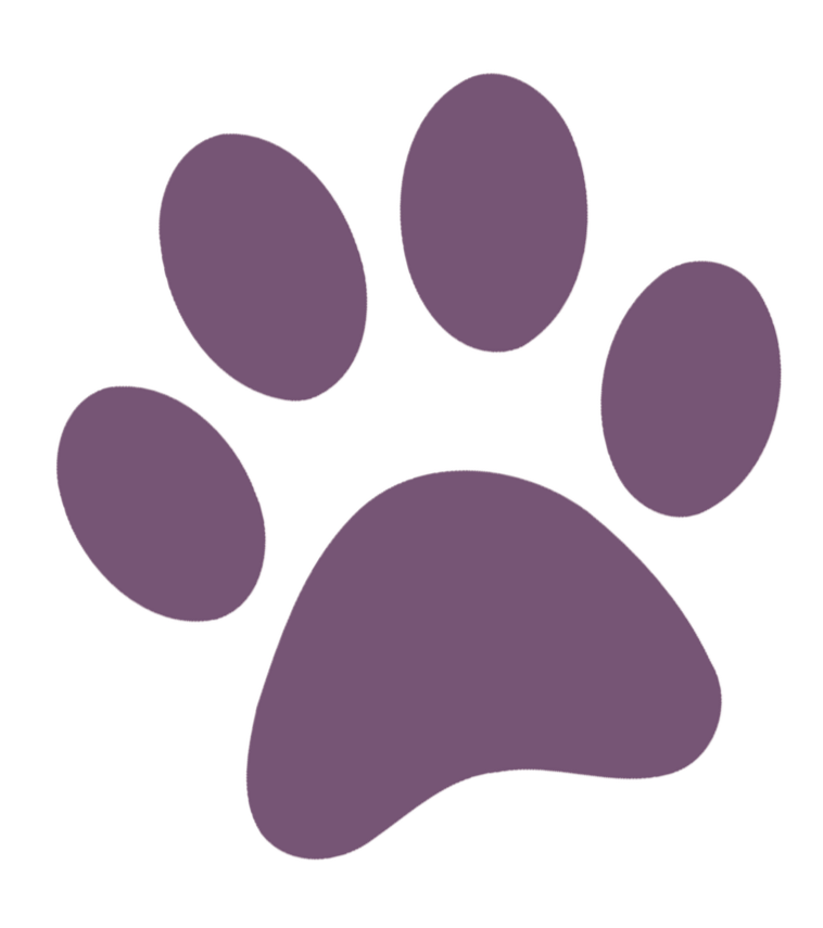 Purple paw print icon on a black background.