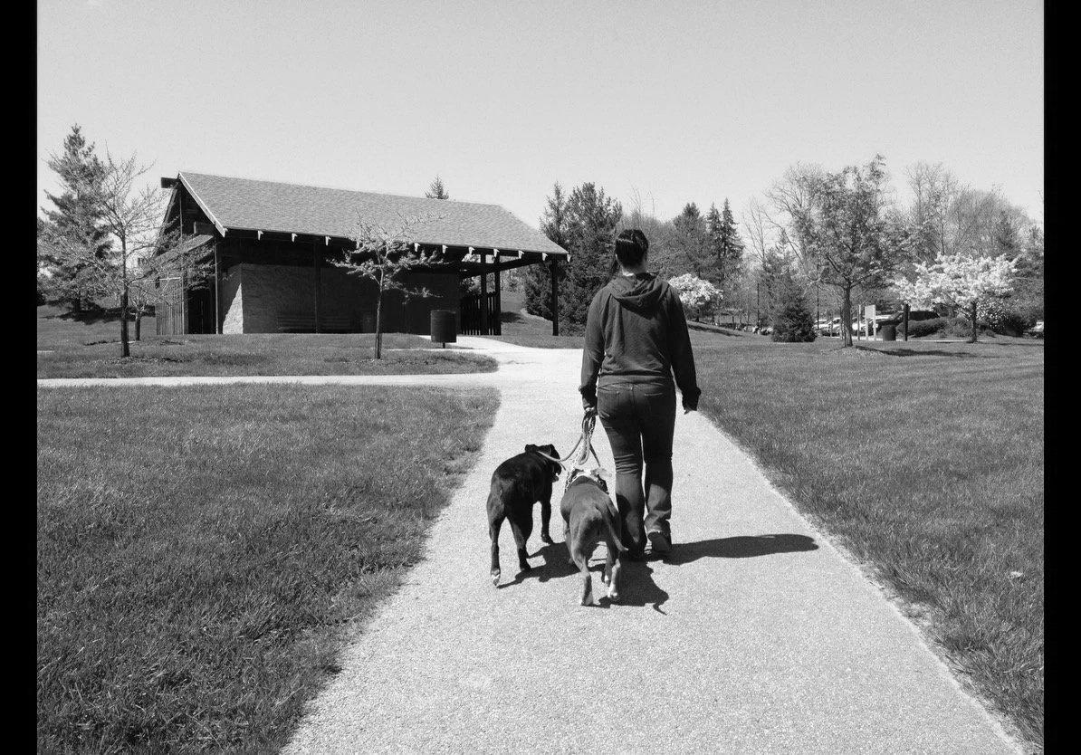 A woman walking on a sidewalk in a park with two dogs on leashes.