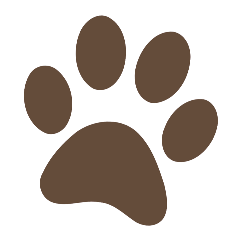 Brown paw print on a transparent background.