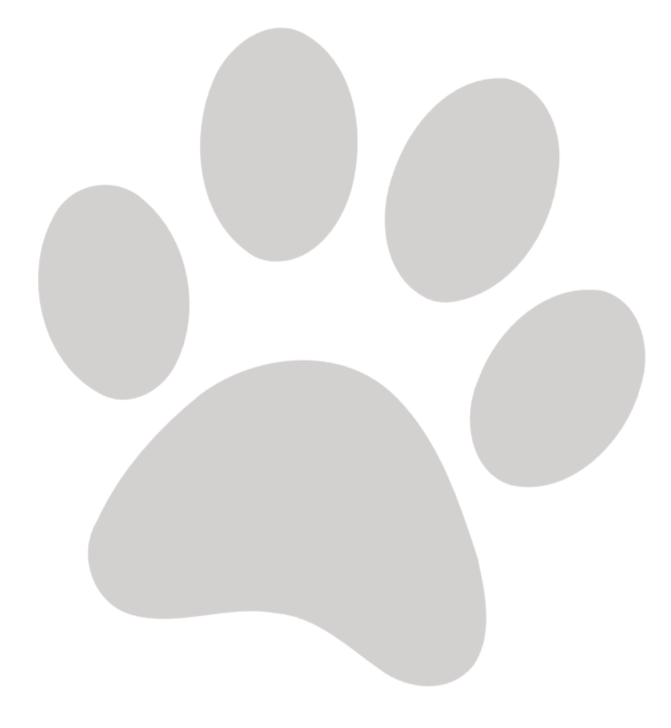 Gray paw print graphic on a transparent background.