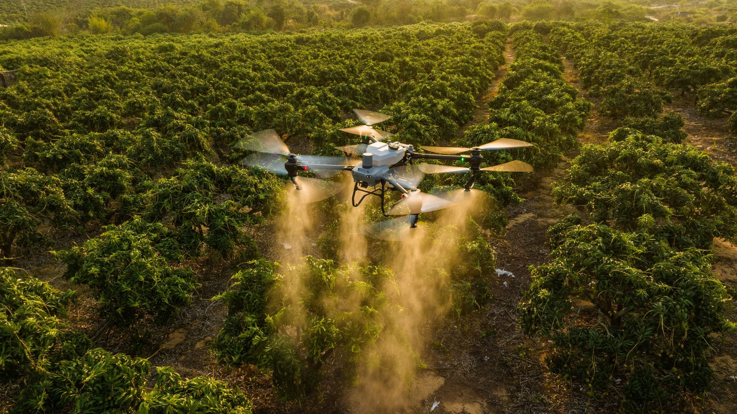 A drone flying over a green farm field, dispersing chemicals or fertilizers.