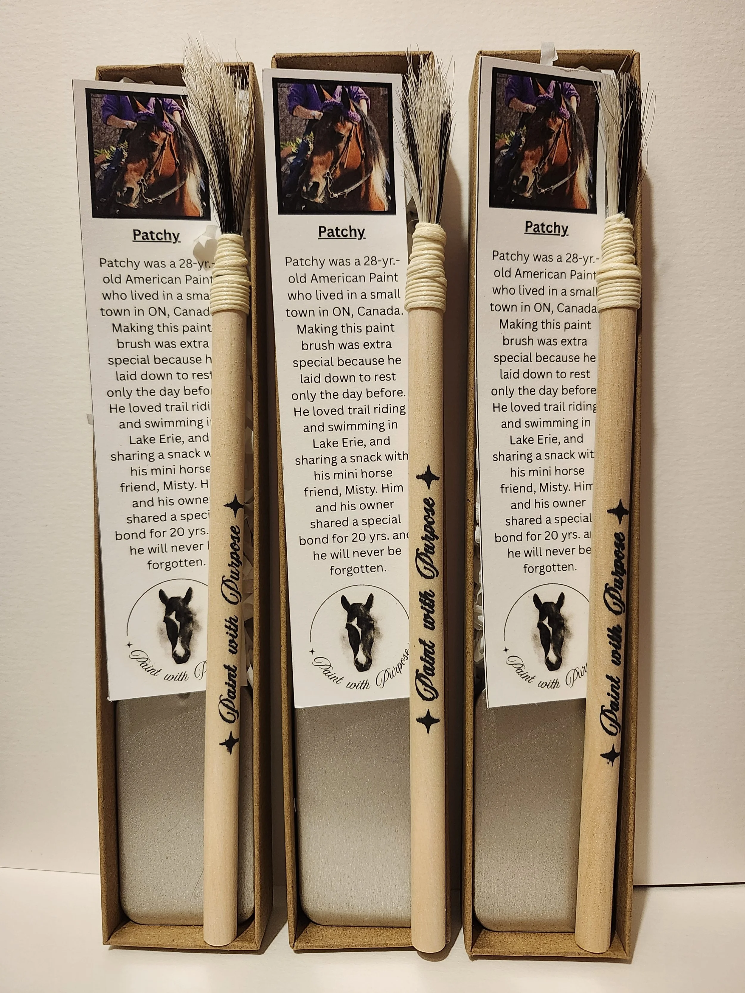 Custom Paintbrush/Paintbrush Set