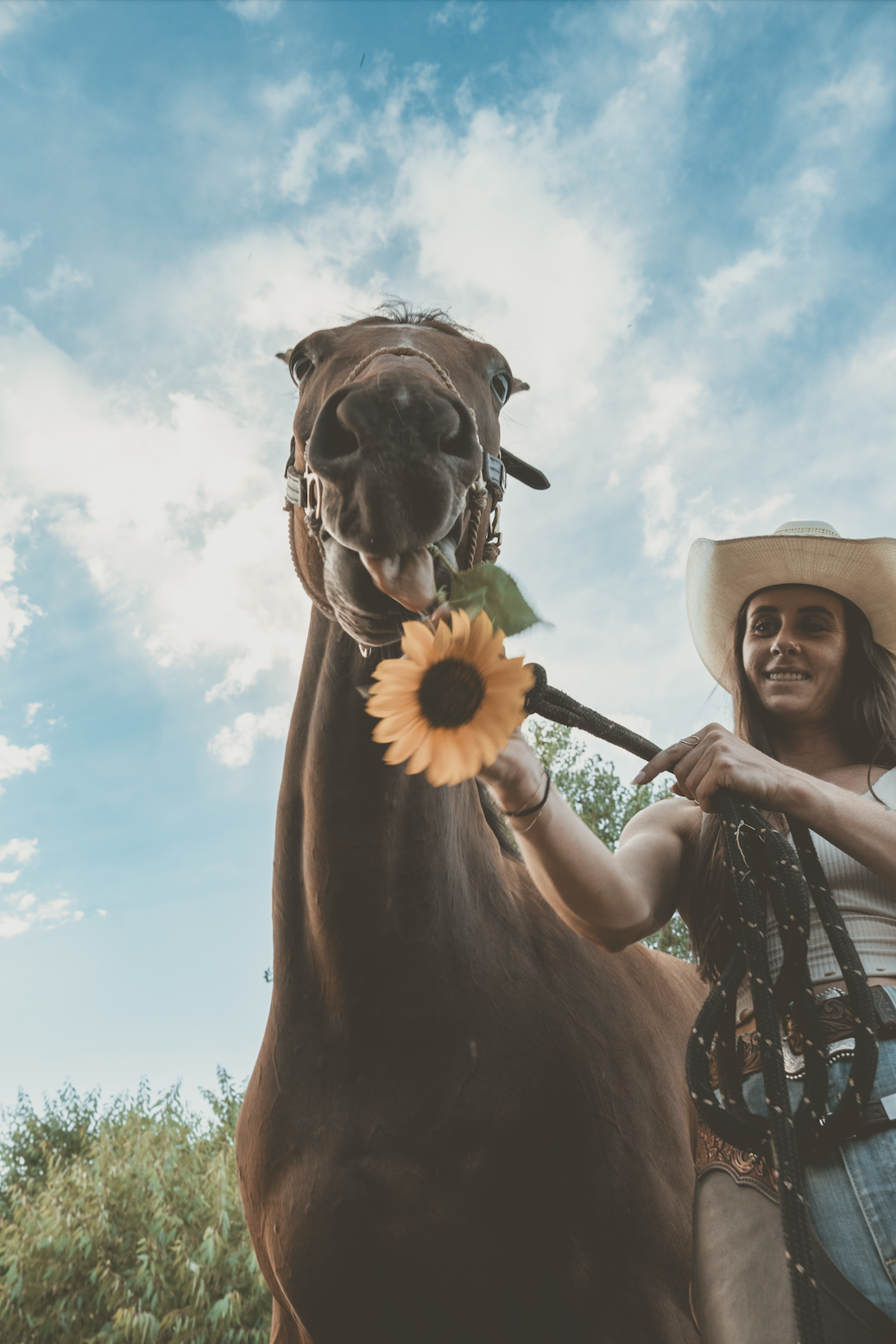 A woman in a cowboy hat holding a sunflower stands next to a horse with its mouth open, against a blue sky with scattered clouds.