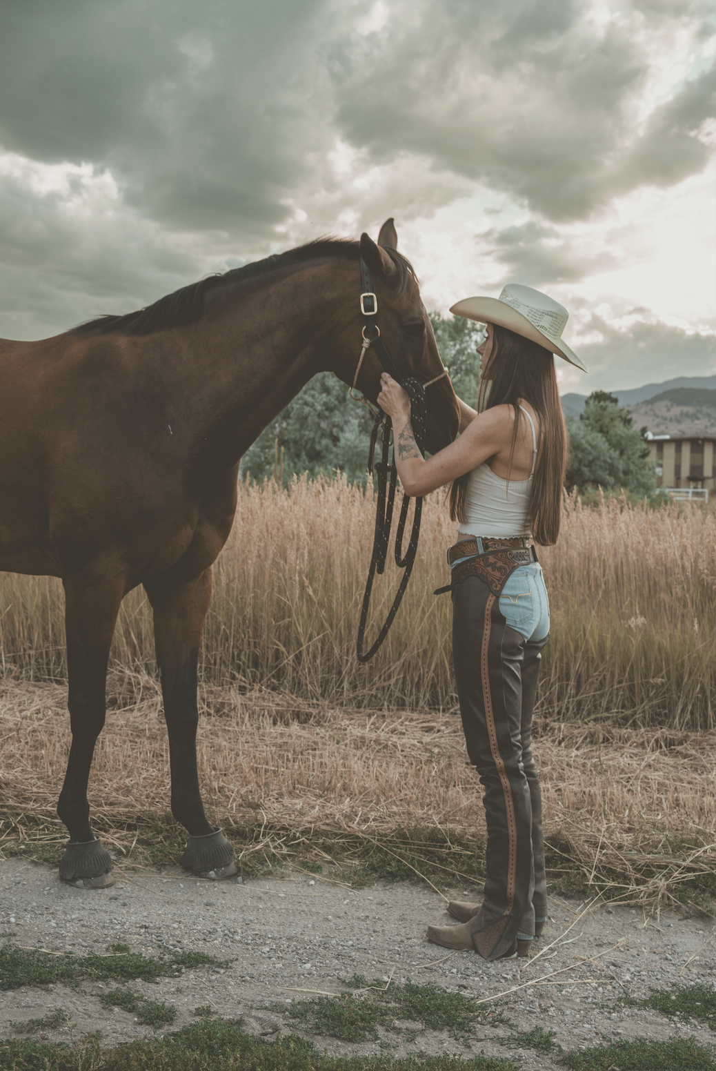 A woman wearing a cowboy hat, white sleeveless top, and jeans stands facing a brown horse, holding its bridle in a field with tall grass and mountains in the background.