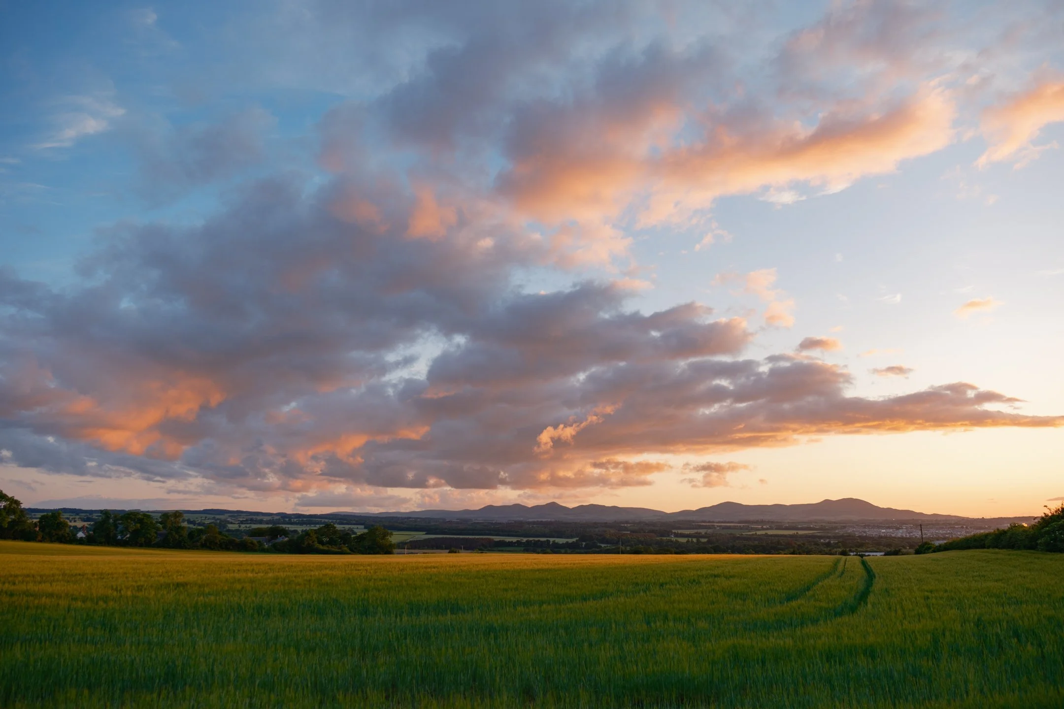 A scenic landscape of a green field in Midlothian, Scotland, at sunset, trees in the distance, and the Pentland Hills under a partly cloudy sky with pink and orange clouds.