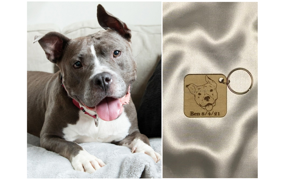 Hand drawn Fur-baby Keyring