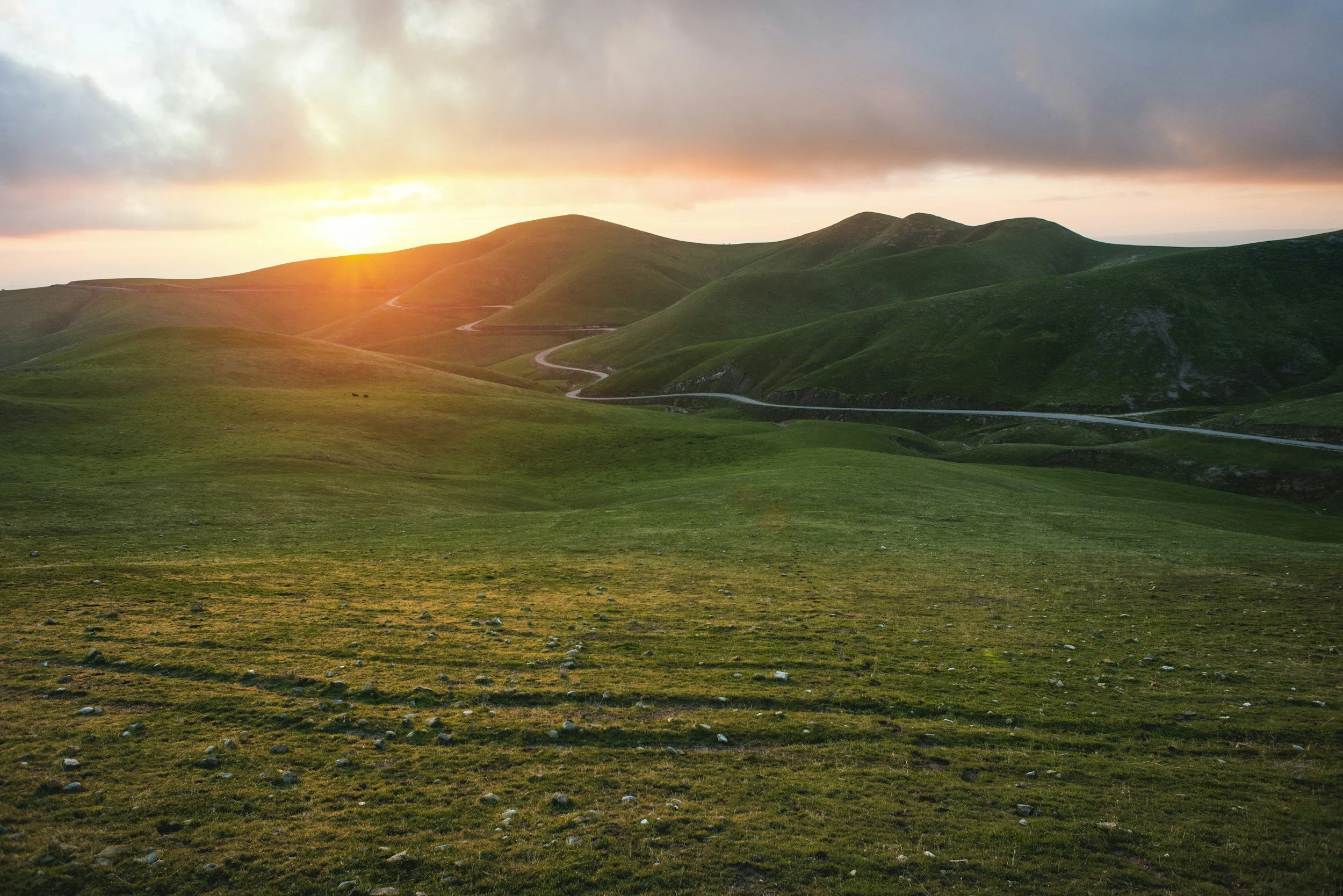 Green rolling hills at sunset with a winding road