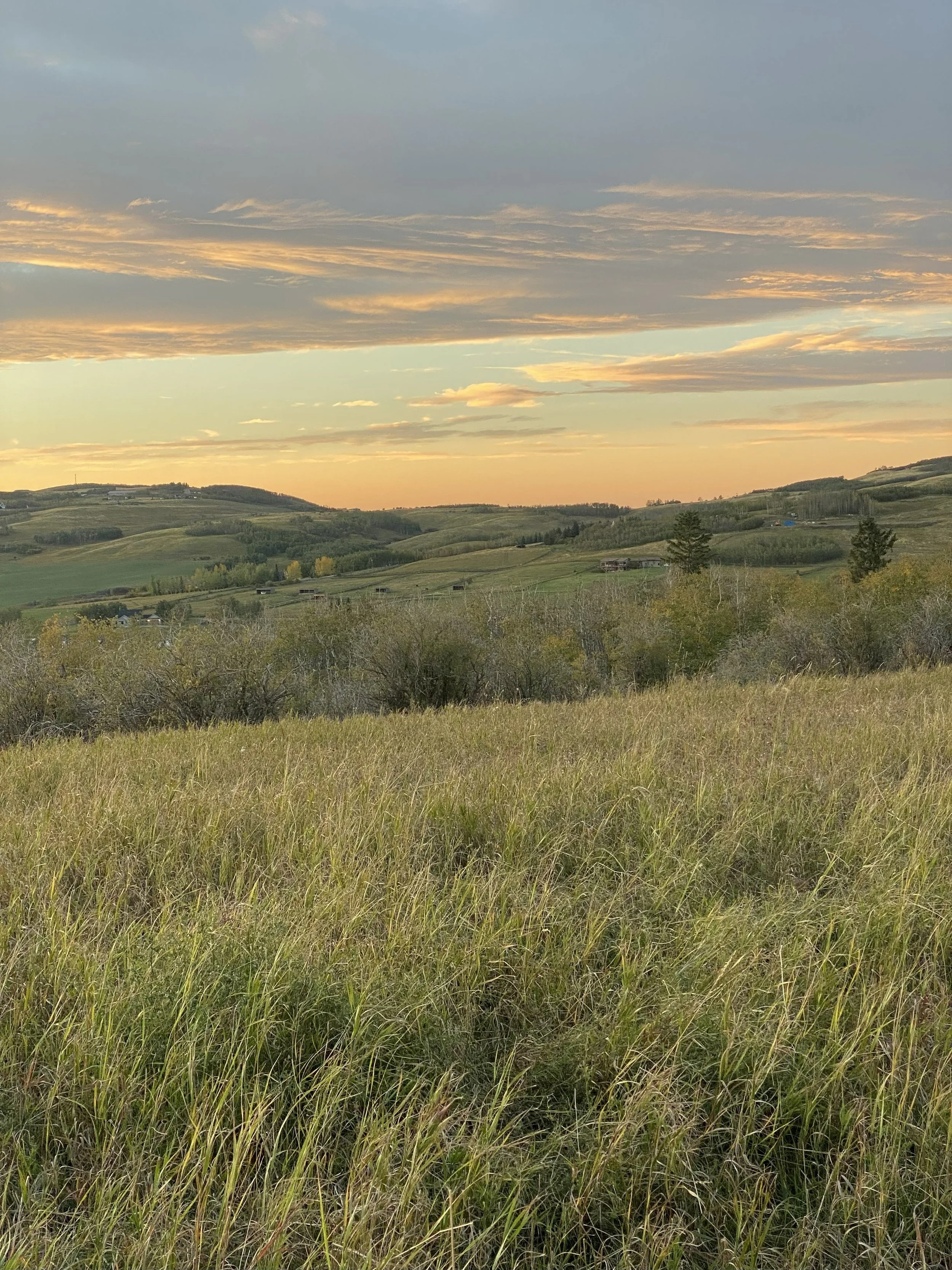 Scenic landscape with grassy fields, trees, rolling hills, and a colorful sunset sky with clouds.