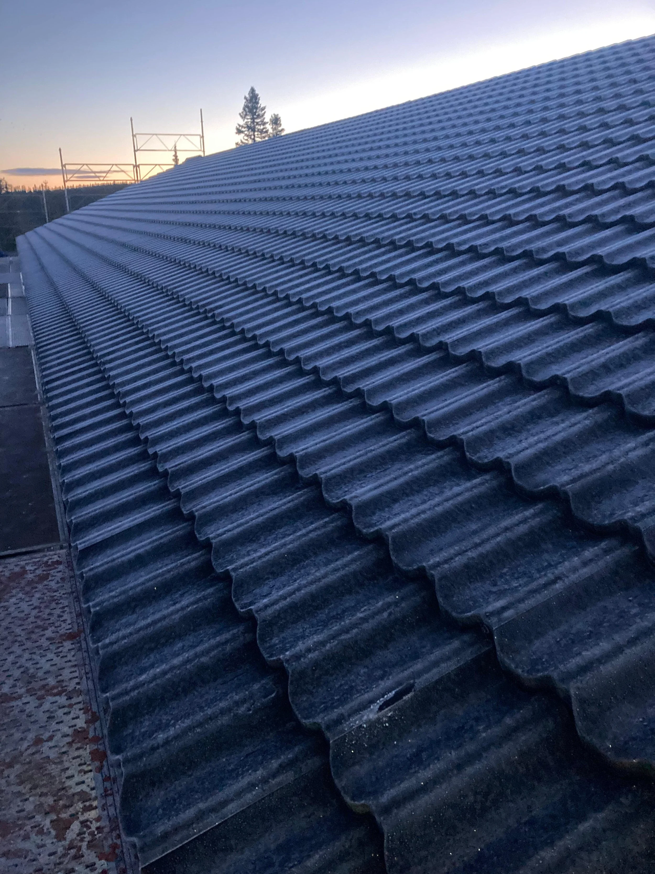 WhatsApp Image 2025-11-29 at 12.04.16 (2).jpeg