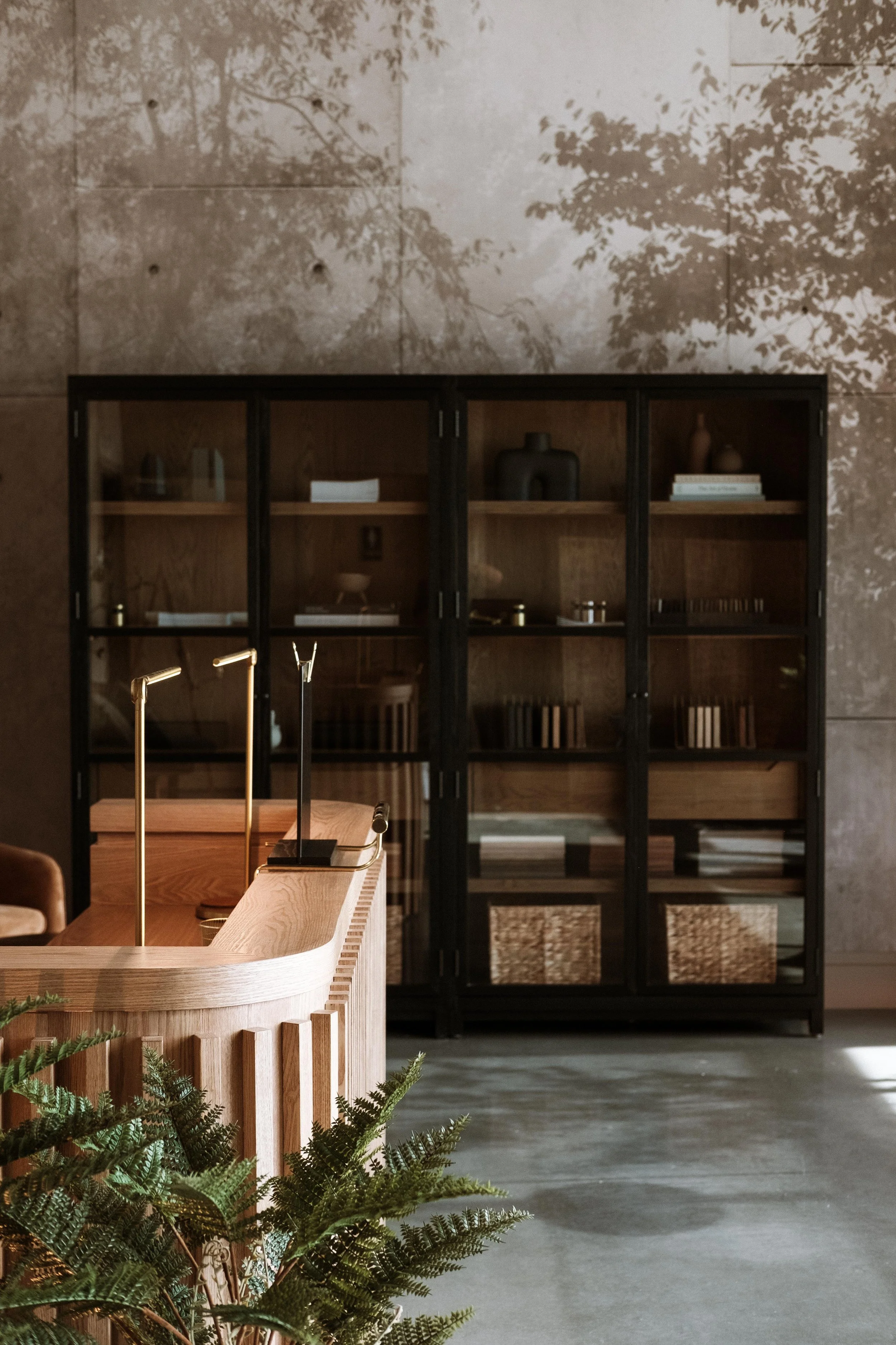 Interior scene with a wooden reception desk in the foreground and a black glass-fronted cabinet against a textured wall in the background, with a leafy plant partially visible at the bottom left.