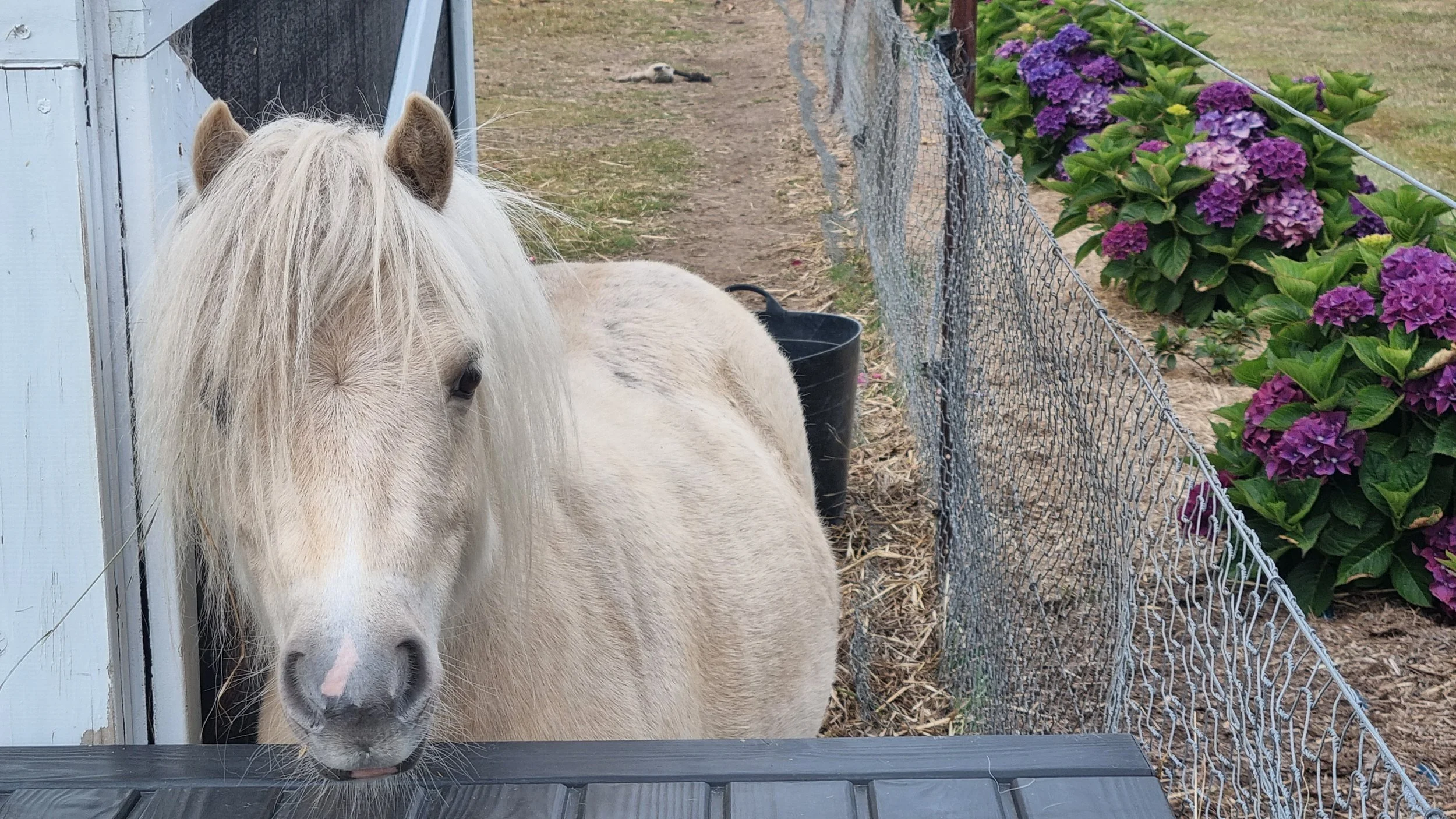 20260101_074450 (1).jpg