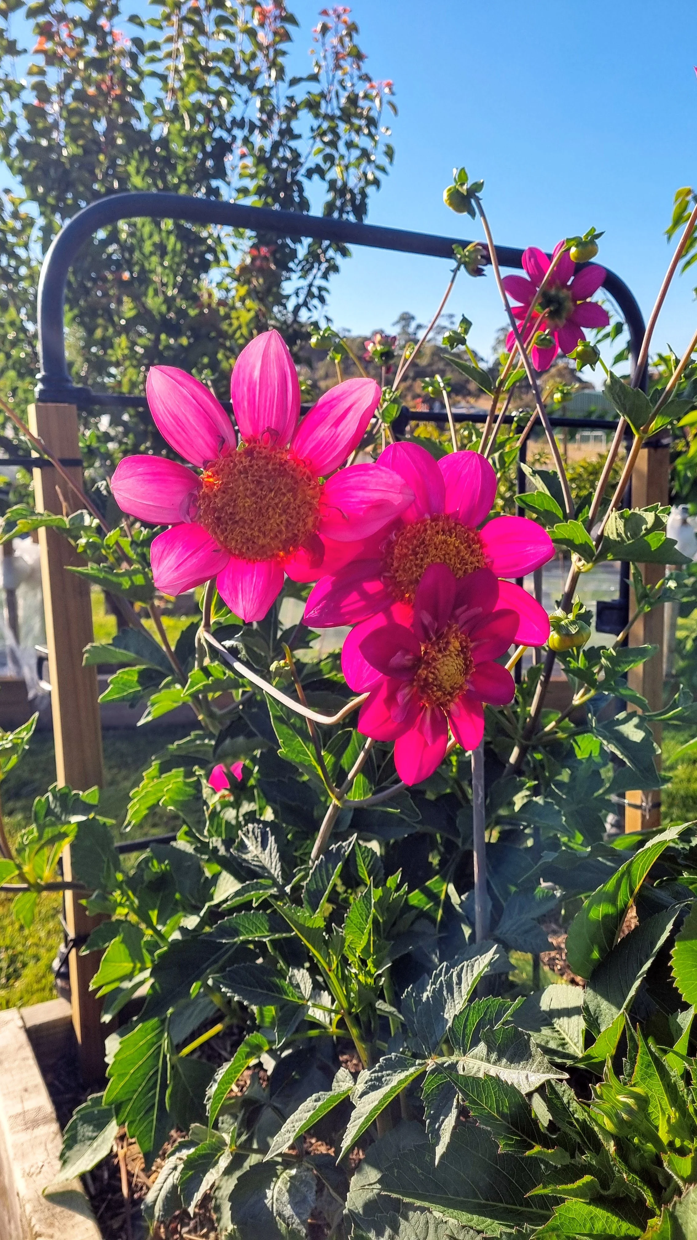 20260104_080018 (1).jpg