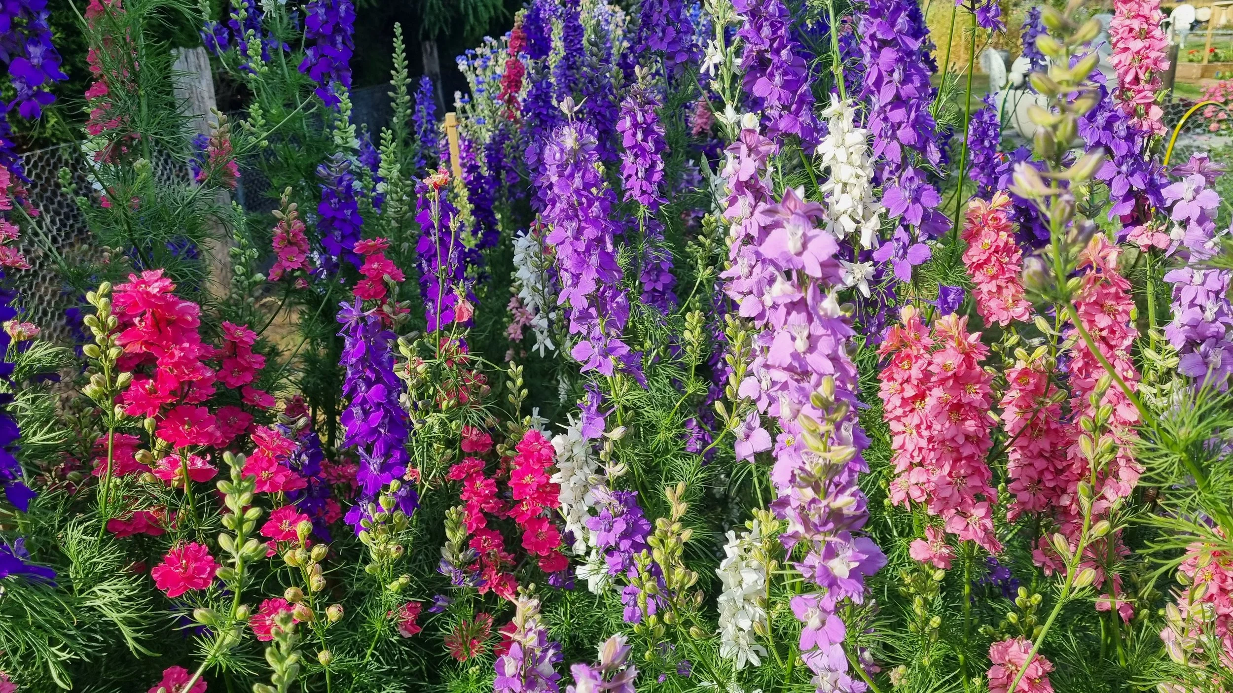 20260106_180852 (1).jpg