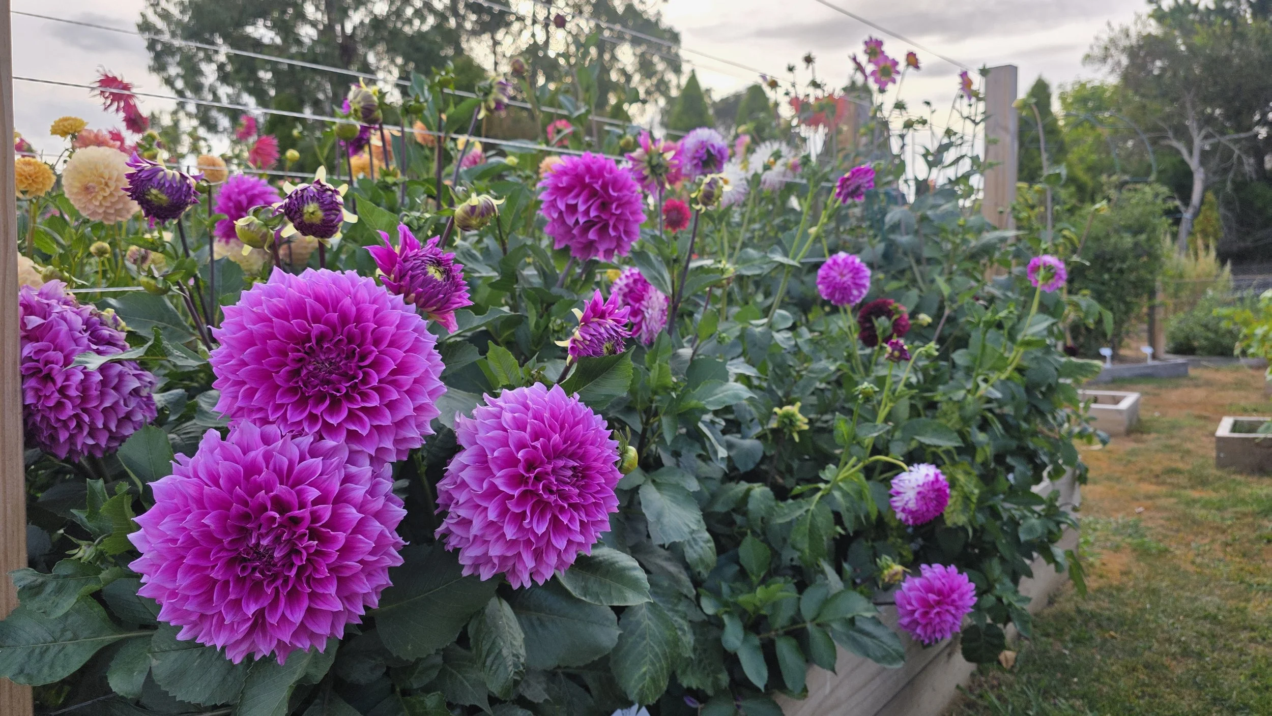 20260203_191925 (1).jpg