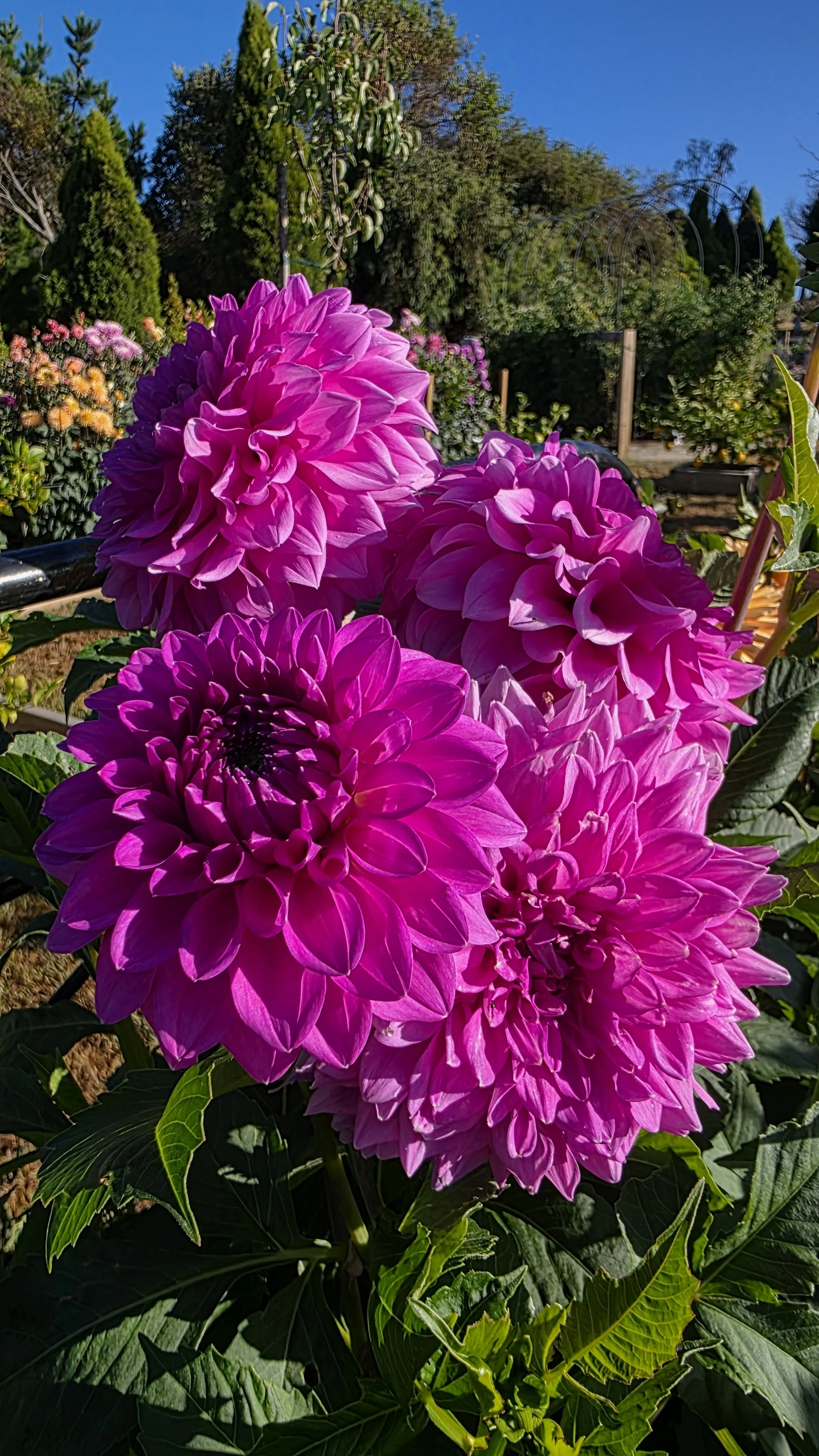 20260203_082125 (1).jpg