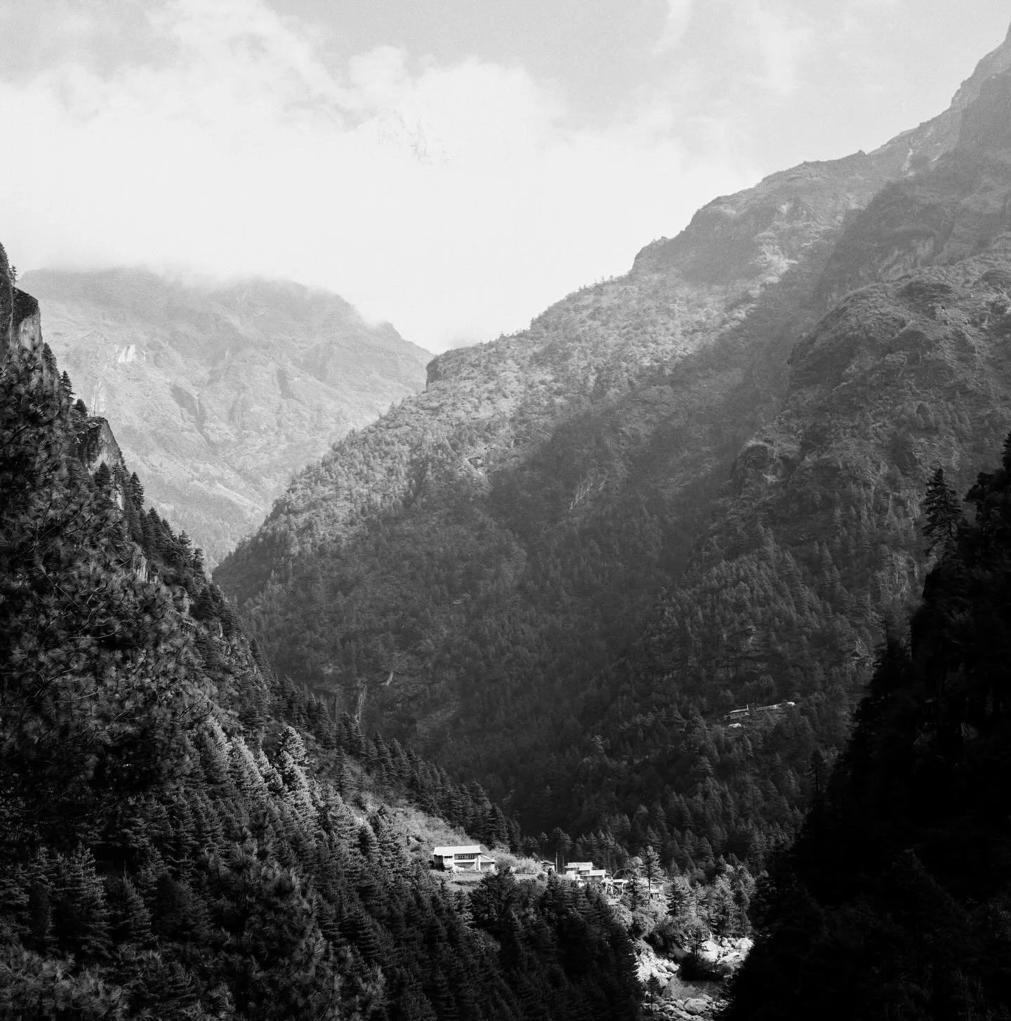 📷 Hasselblad 501c
🎞️ Kodak 100 TMX
🧪 @focuspocuslab