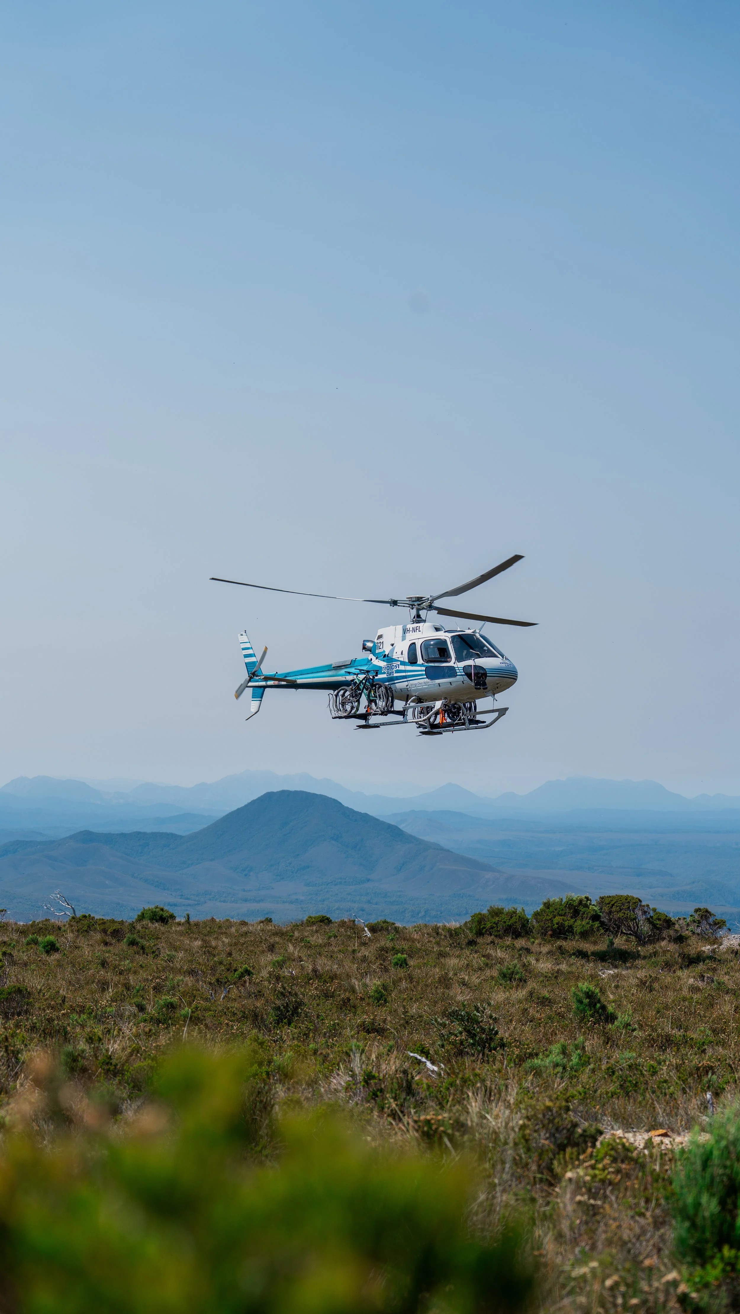 Into The Wild-15.jpg