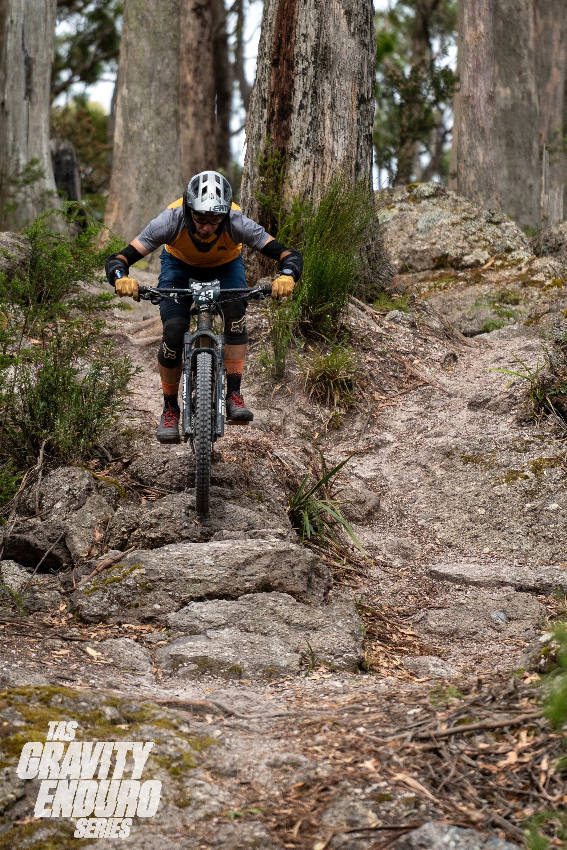 tas Grav Rd 2 Podiums lq-92.jpg