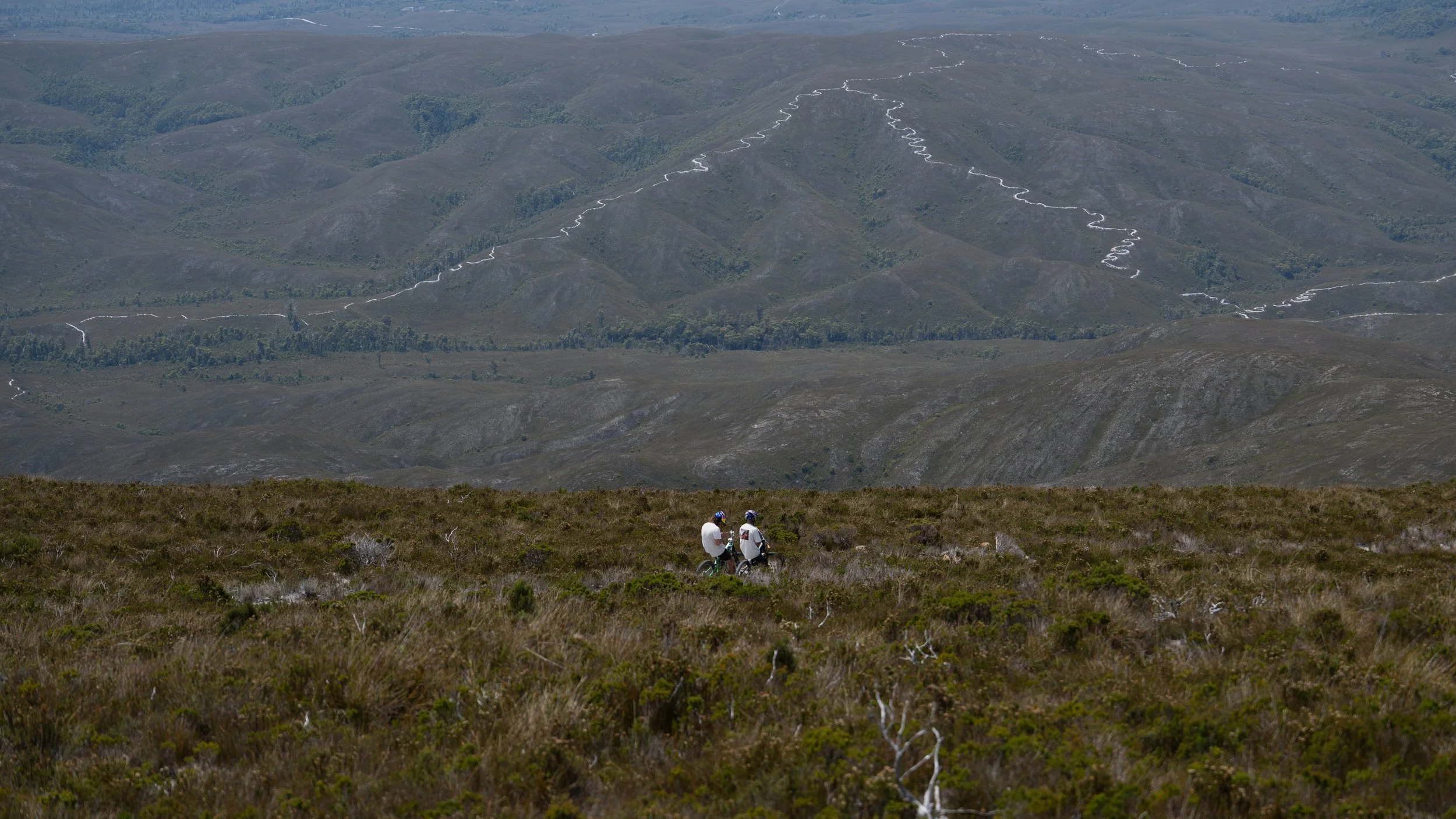 Into The Wild-17.jpg