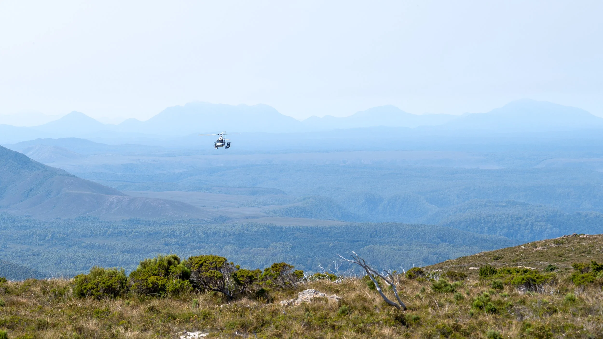 Into The Wild-14.jpg