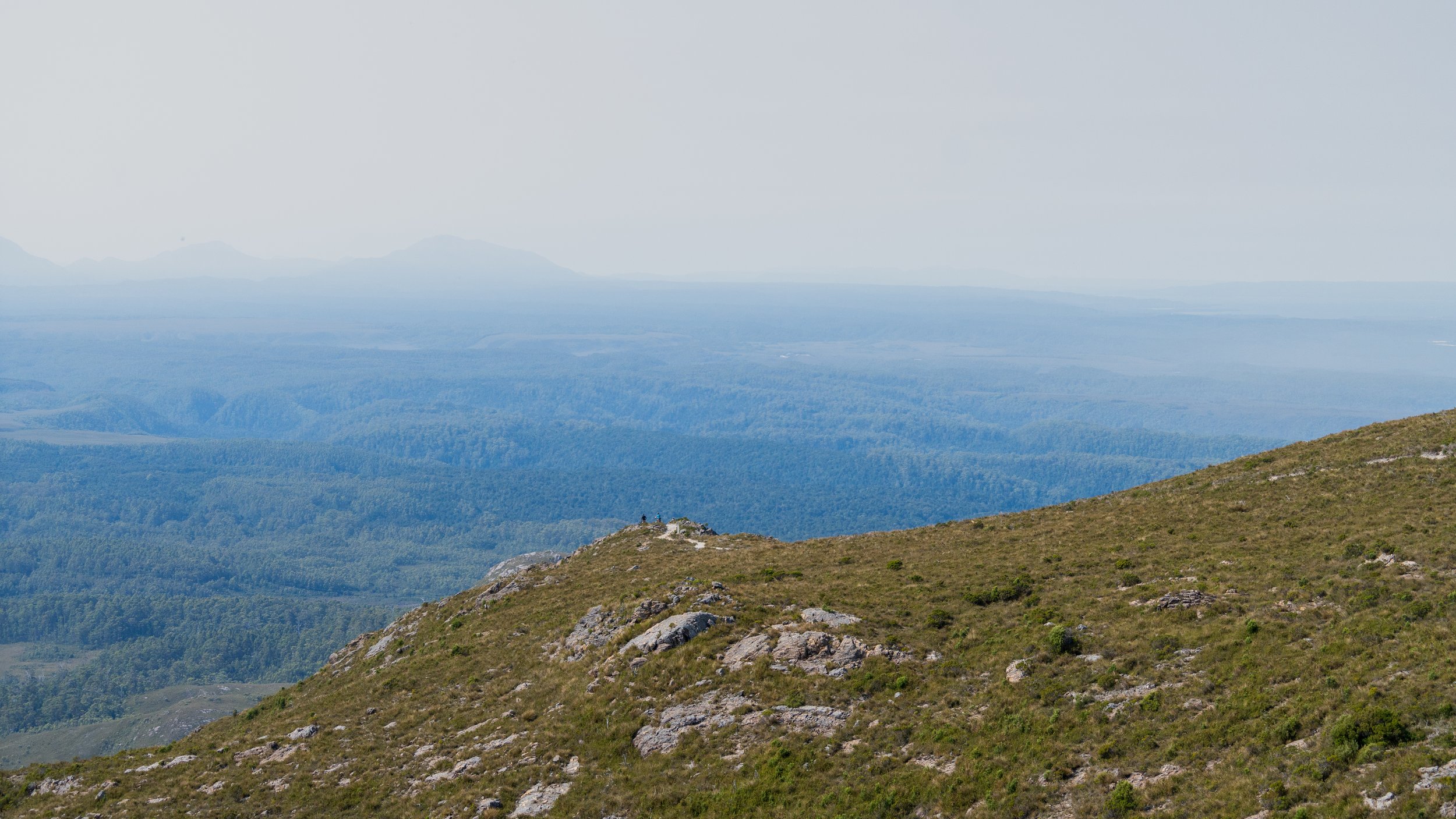 Into The Wild-10.jpg