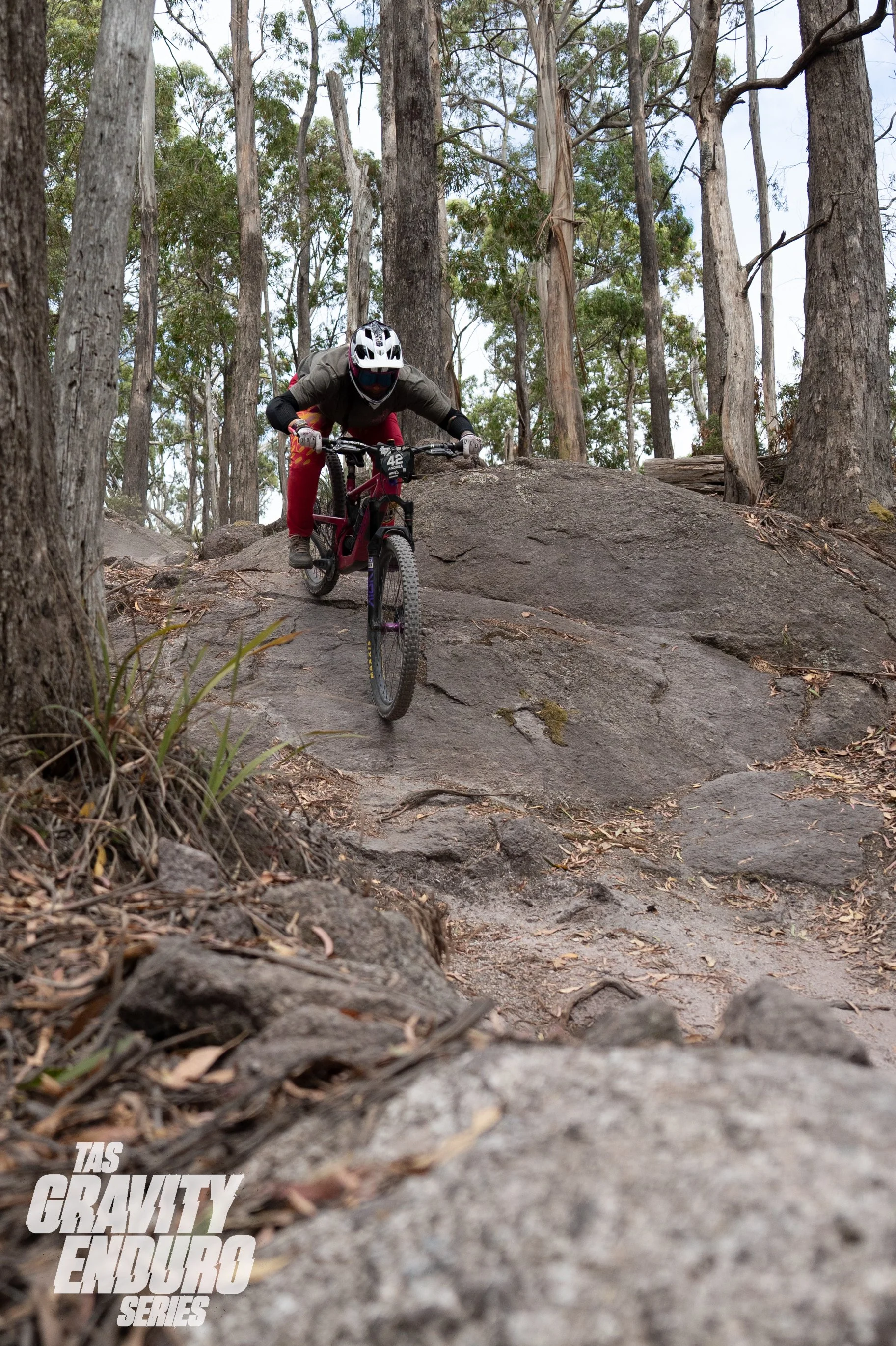 tas Grav Rd 2 Podiums lq-100.jpg