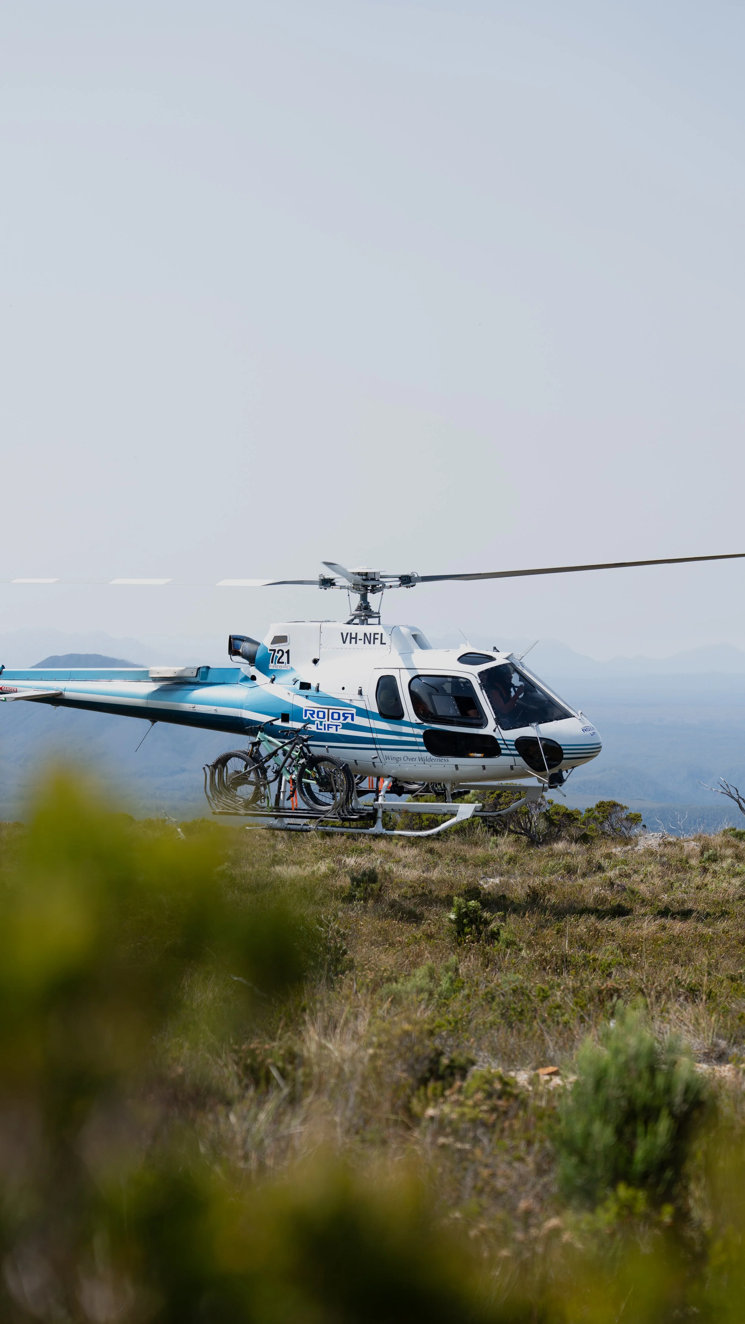 Into The Wild-16.jpg