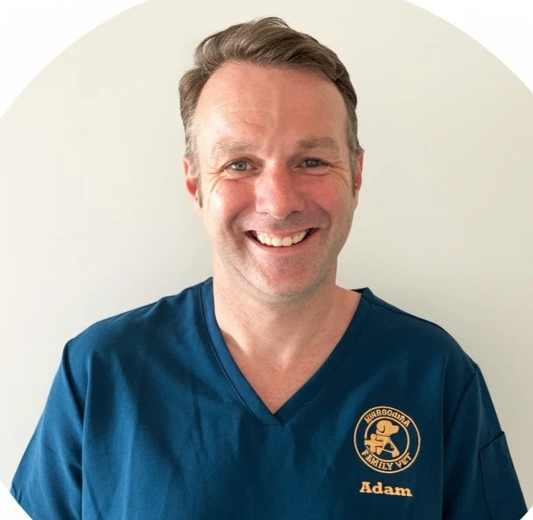 Nurse Adam from Moorooka Family Vet.