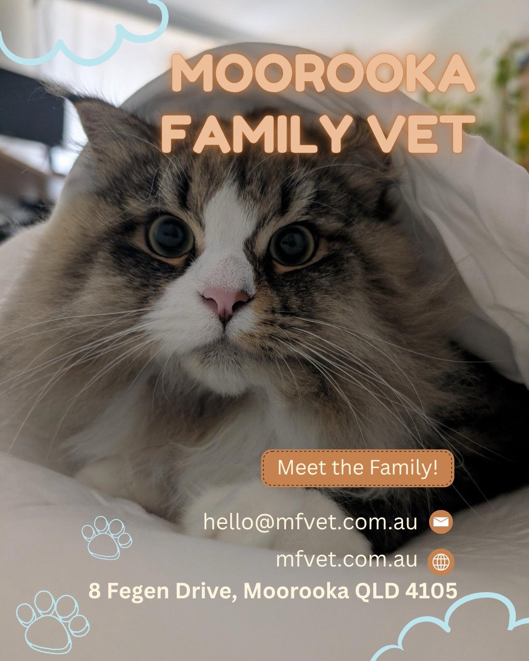 Hey 👋 We&rsquo;re excited to now be accepting bookings for appointments from 13 April onwards!

Our opening hours will be:
Monday to Friday: 8:00am &ndash; 5:30pm
Saturday: 9:00am &ndash; 12:00pm
Located at 8 Fegen Drive, Moorooka QLD 4105

Whilst o