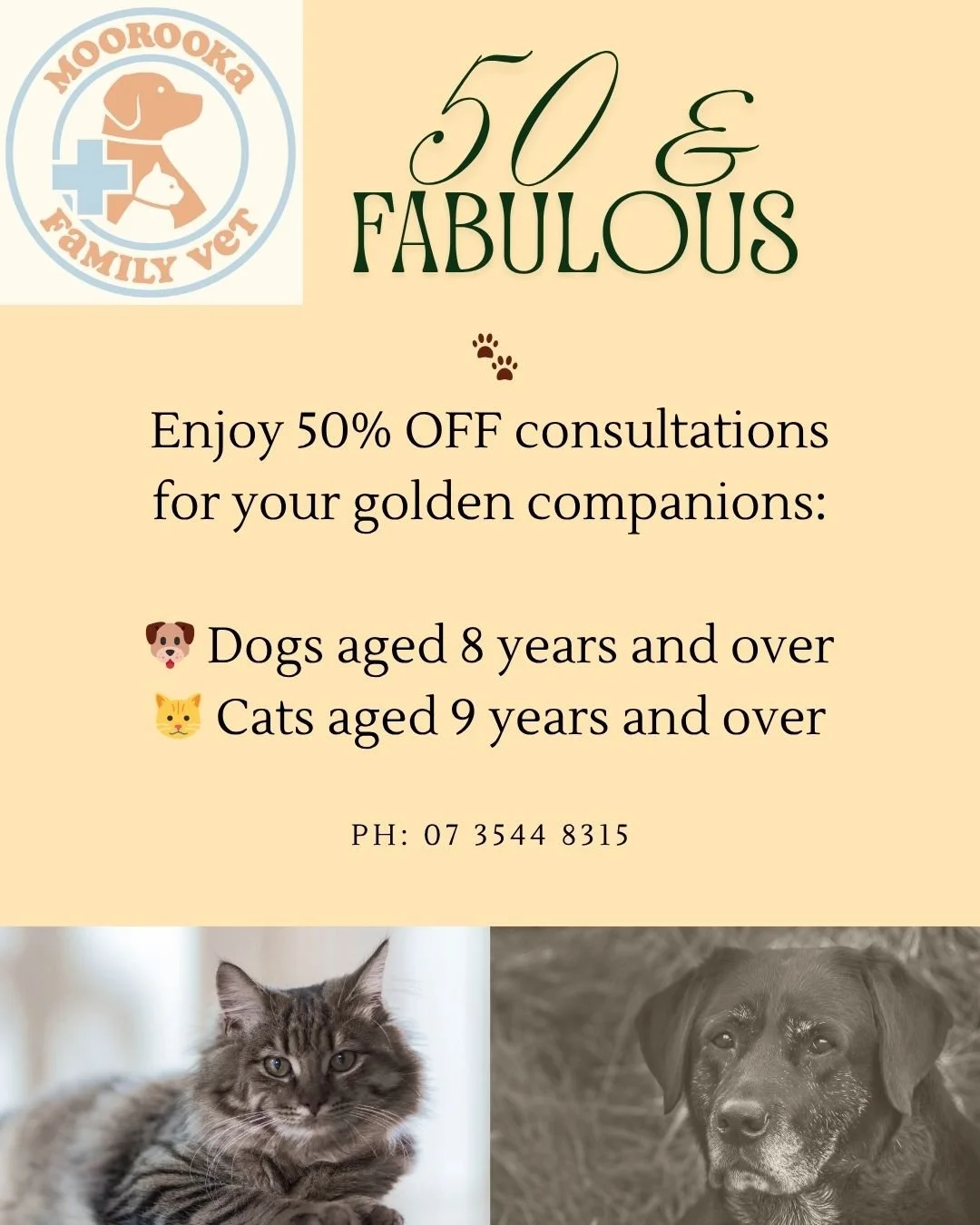 Got a &ldquo;50+&rdquo; furry friend at home? This one&rsquo;s for them!

For the month of June- Seniors Month will be the perfect time to give your pet a little extra TLC&mdash;and we&rsquo;re making it easier with 50% OFF consultations for our seni