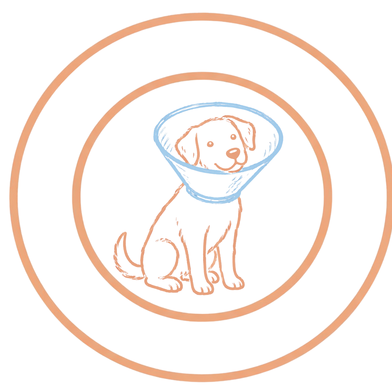Neon outline of a puppy wearing a cone around its neck, sitting inside concentric circles on a black background.