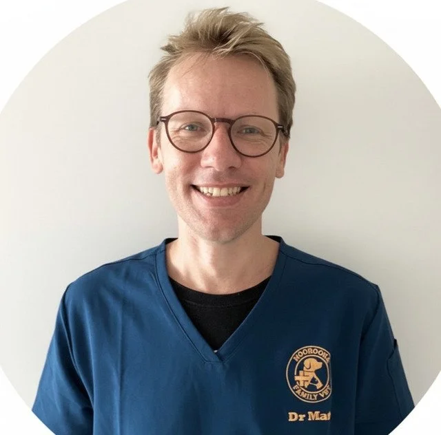 Dr Matt Crossley owner of Moorooka Family Vet.