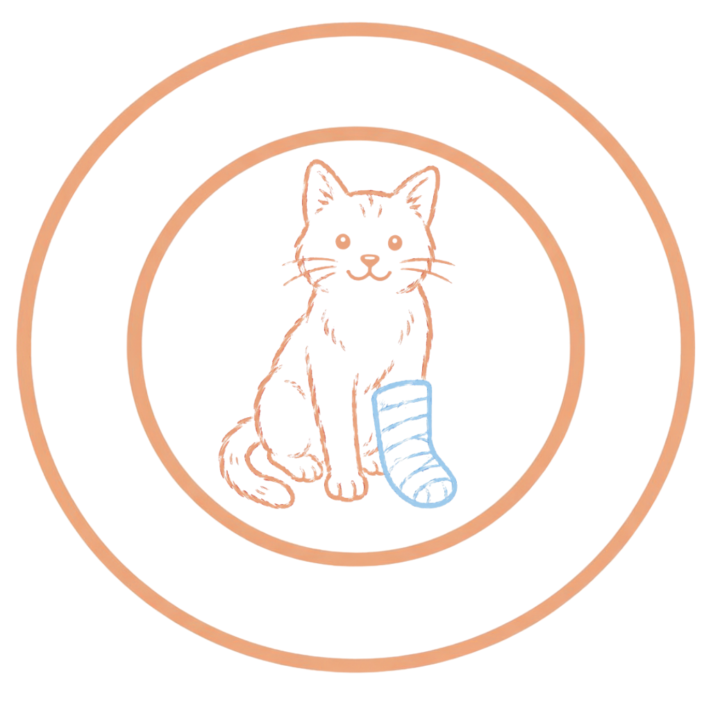 A colorful line art illustration of a sitting cat with a striped tail, surrounded by concentric circles with rainbow colors.