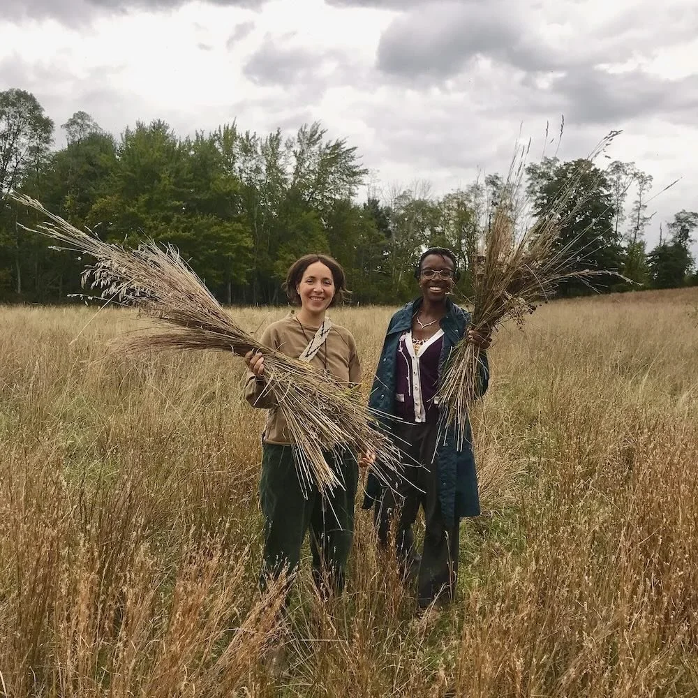 foraging-grasses-basketry.jpeg