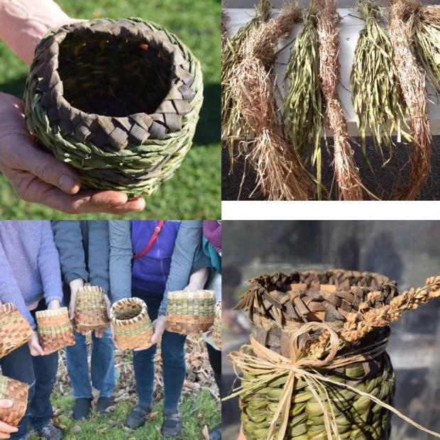 a spread of twined baskets made with foraged grasses and materials