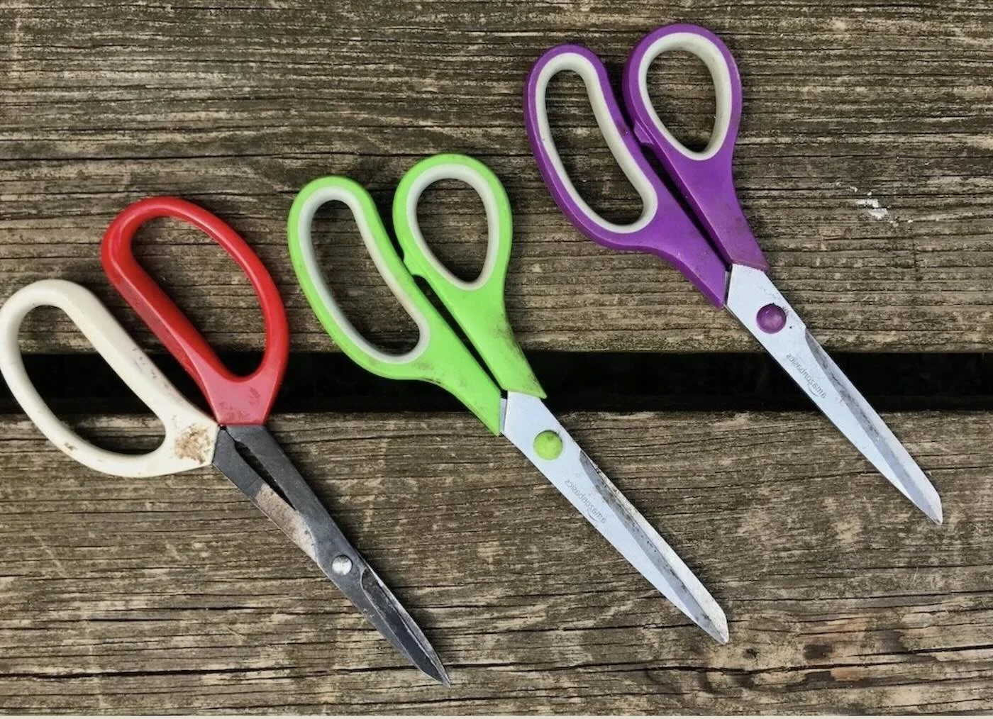 basketry scissors all in a line