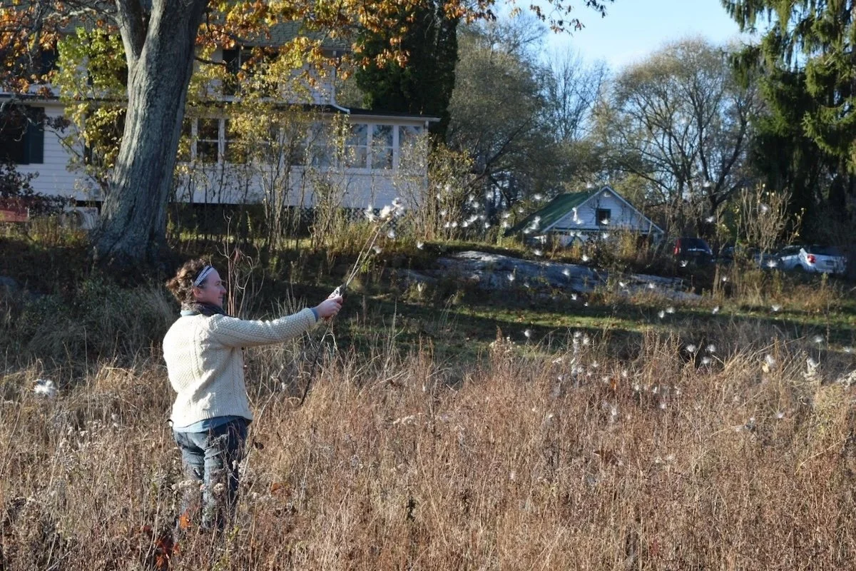 a woman letting milkweed seeds fly into the wind