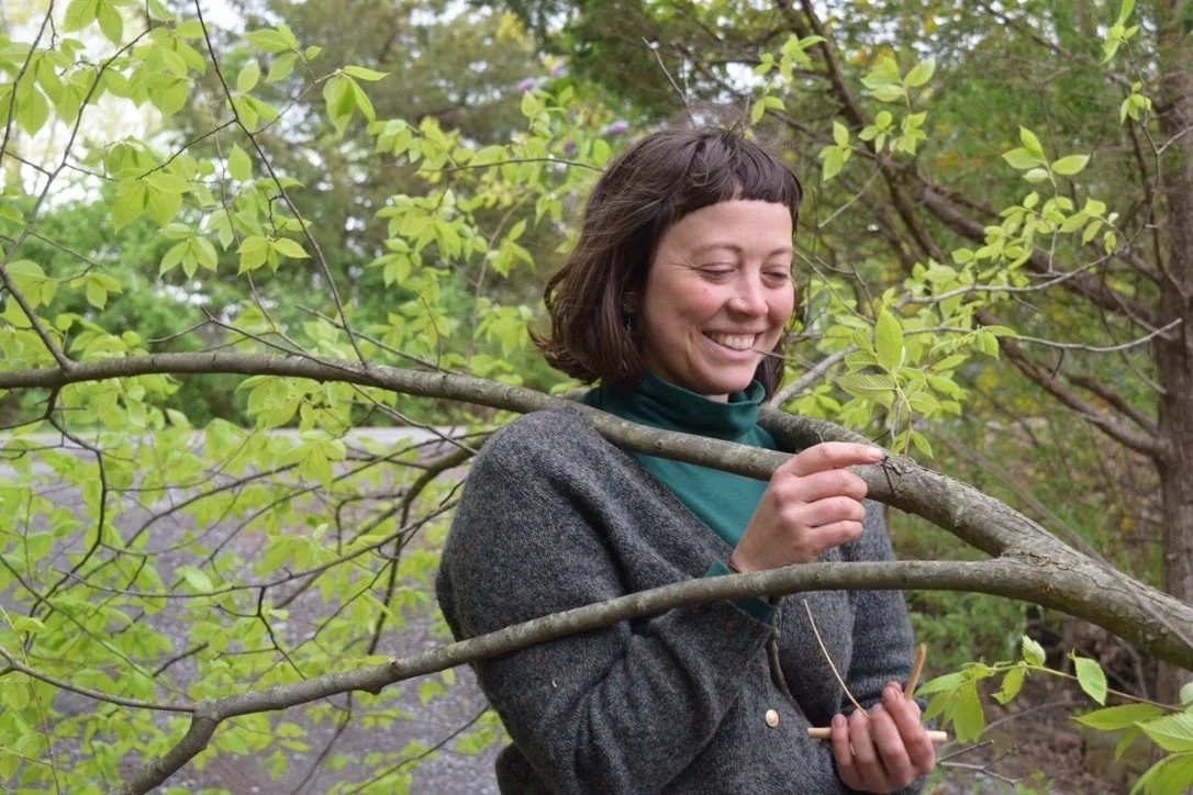 a woman holding a basswood branch at a basketry class