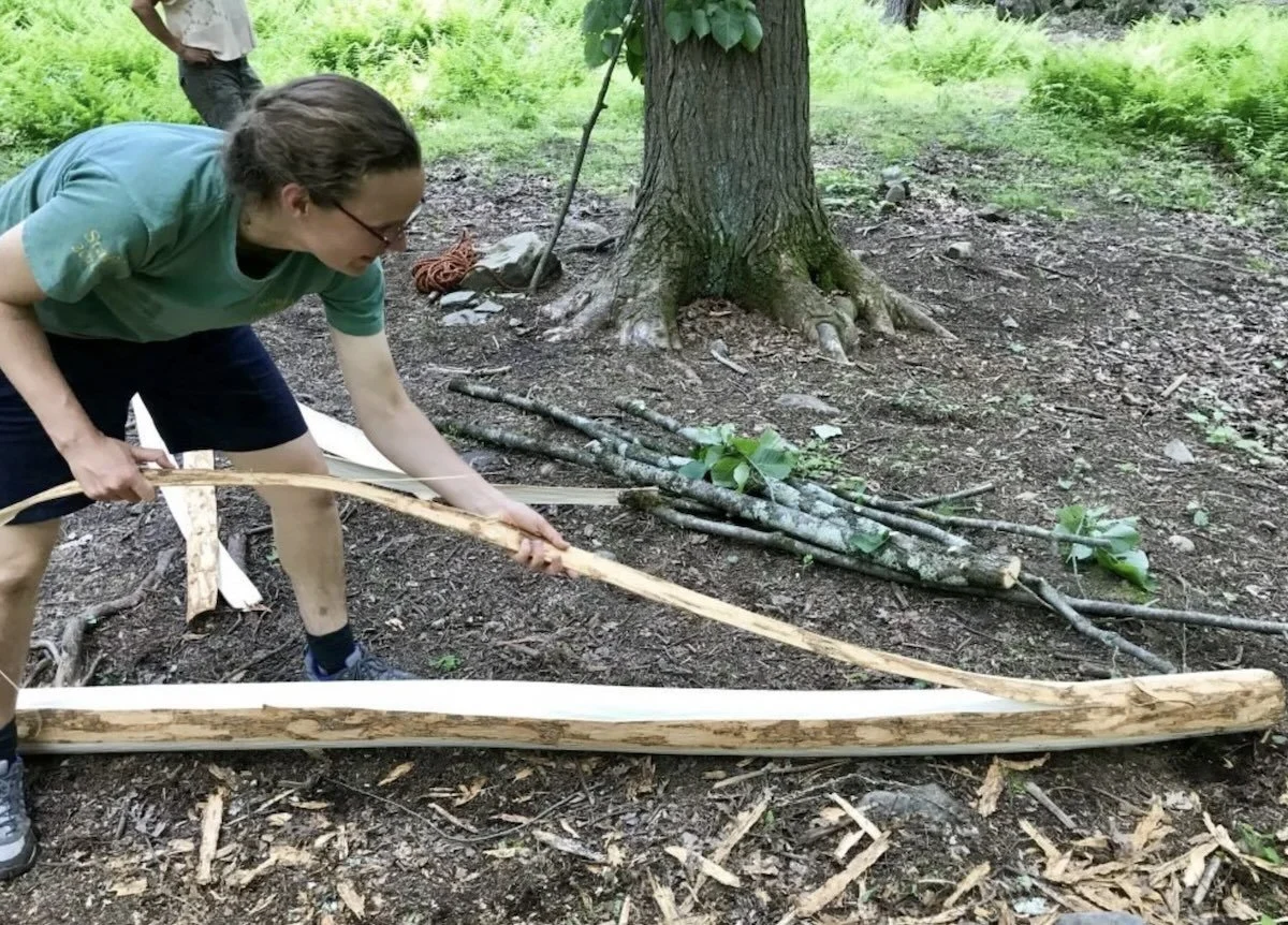 a person peeling a length of basswood inner bark from a log for basket weaving