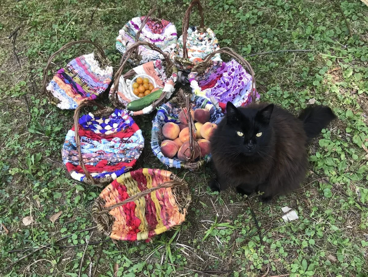 a black cat and fabric and vine ribbed baskets on the grass