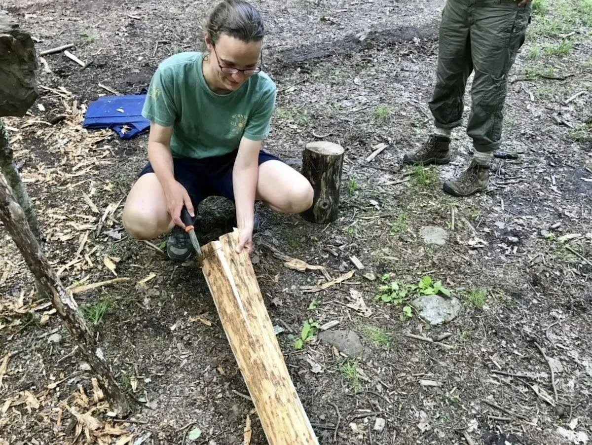 a person beginning to peel the basswood inner bark from a log for basketry