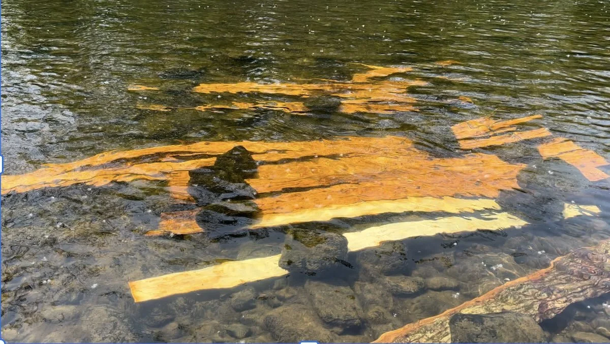 linden inner bark retting in a river under rocks