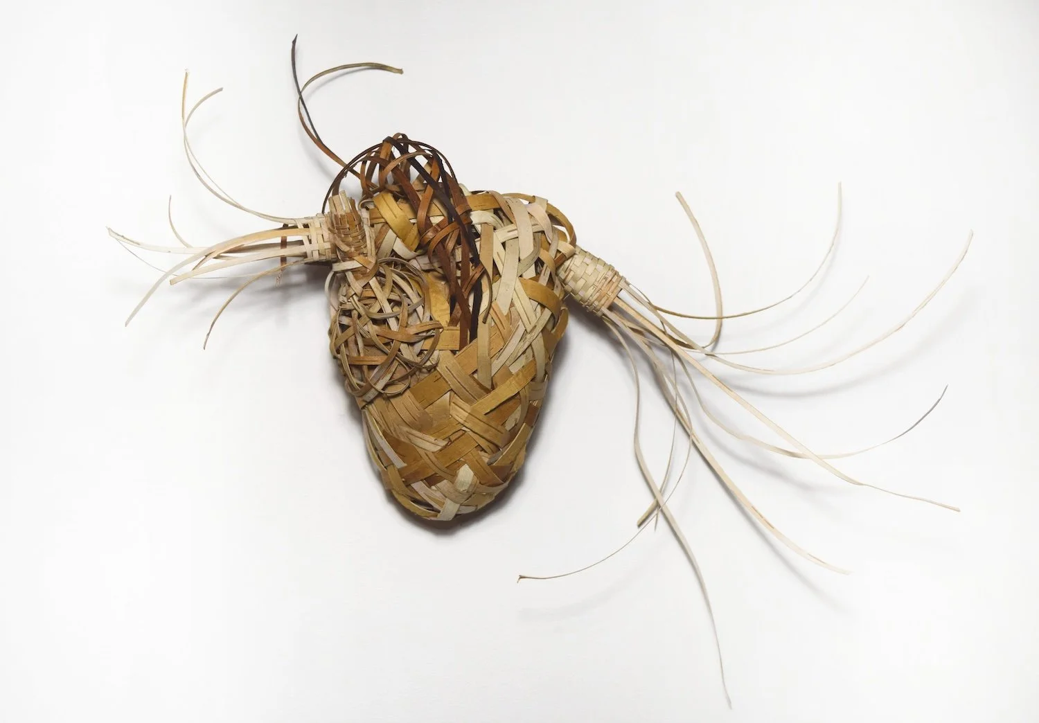 Birch Heart, birch bark,  8” x 9” x 3