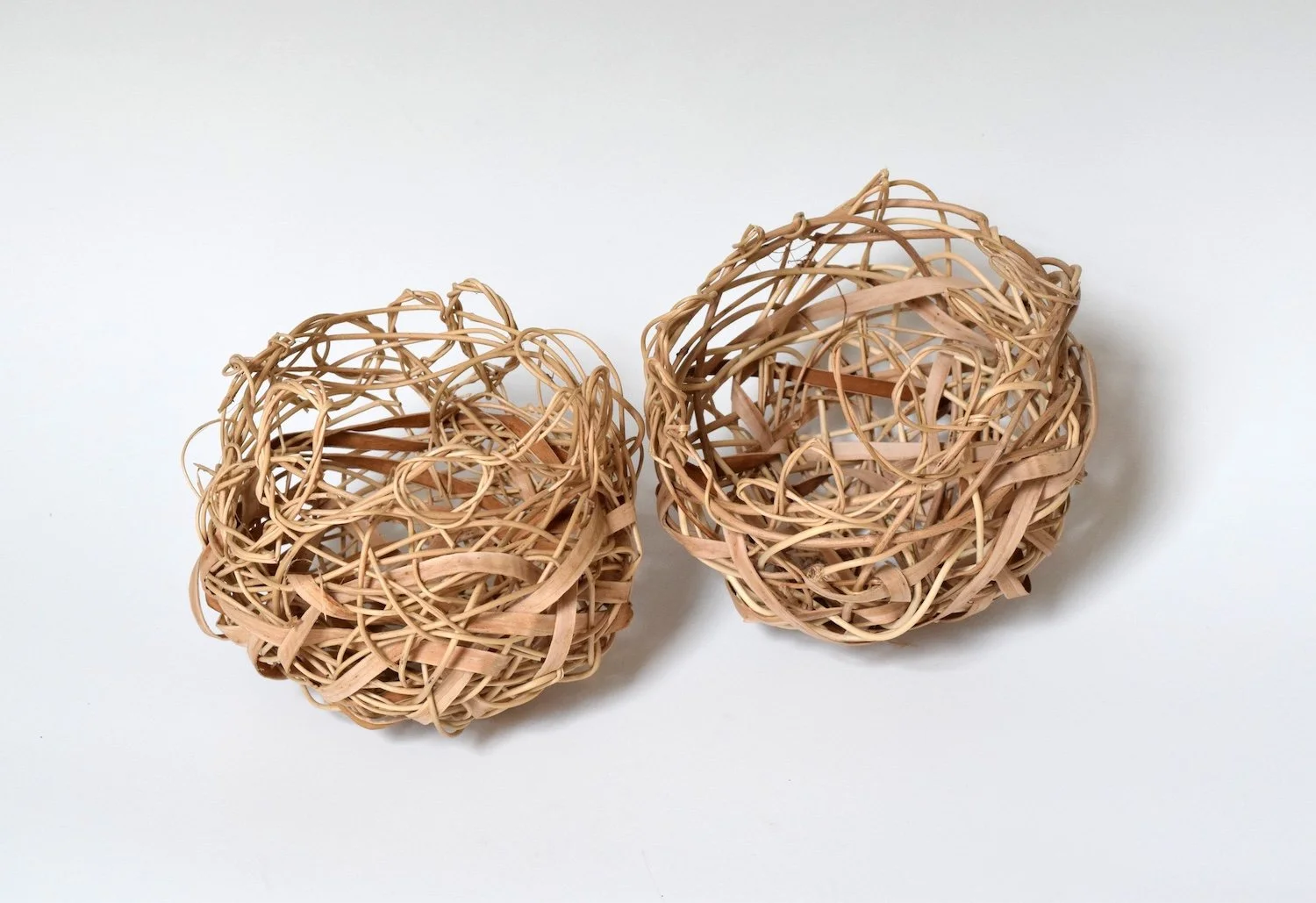 Group view of Walk Slow and Listen Close